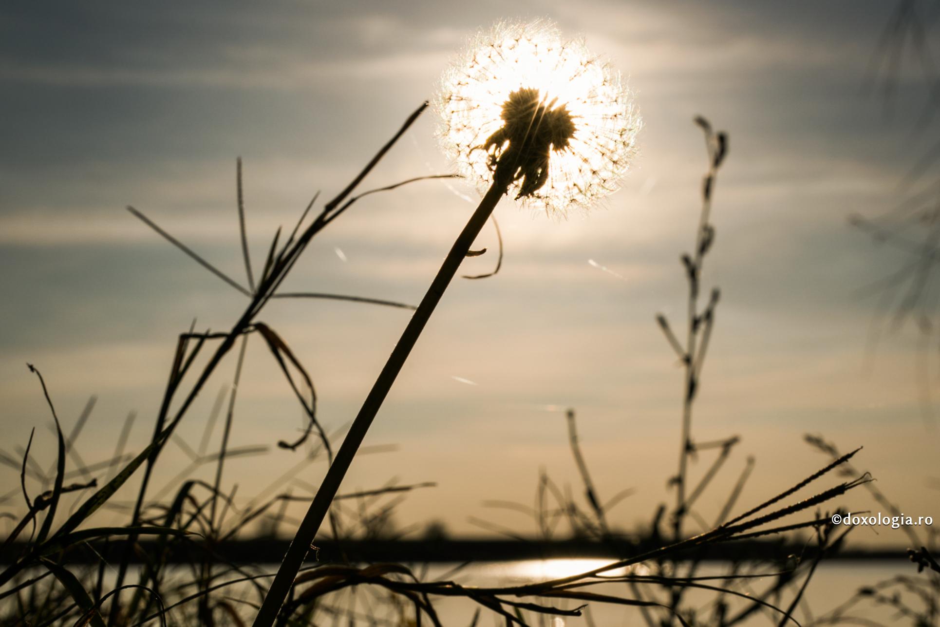 Foto: Oana Nechifor Cândva, adevărul va ieși la iveală – atunci va fi… căderea din certitudine
