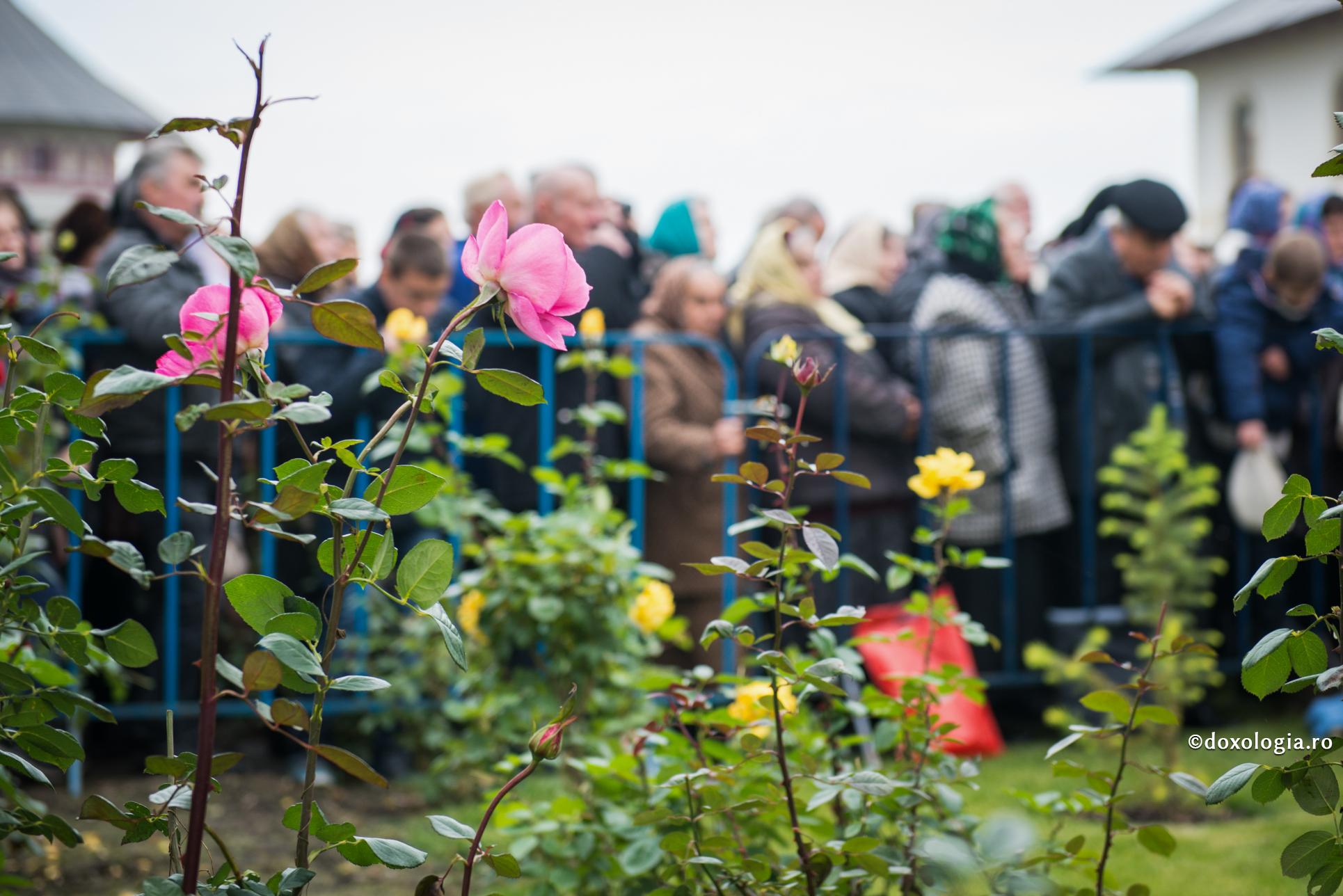 „Nu vă împotriviți celui rău”