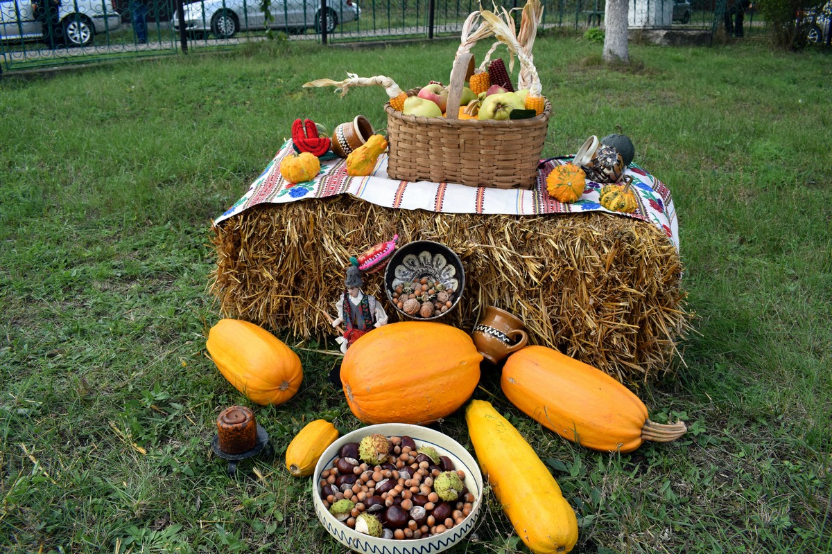 Slujbă misionară în Parohia Dorobanți, Protopopiatul Botoșani