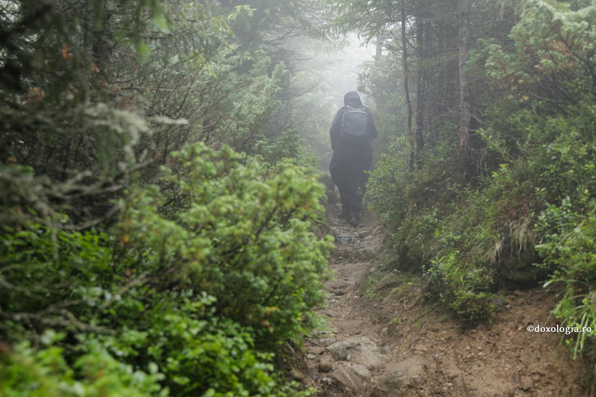 Natura, un instrument al minunilor