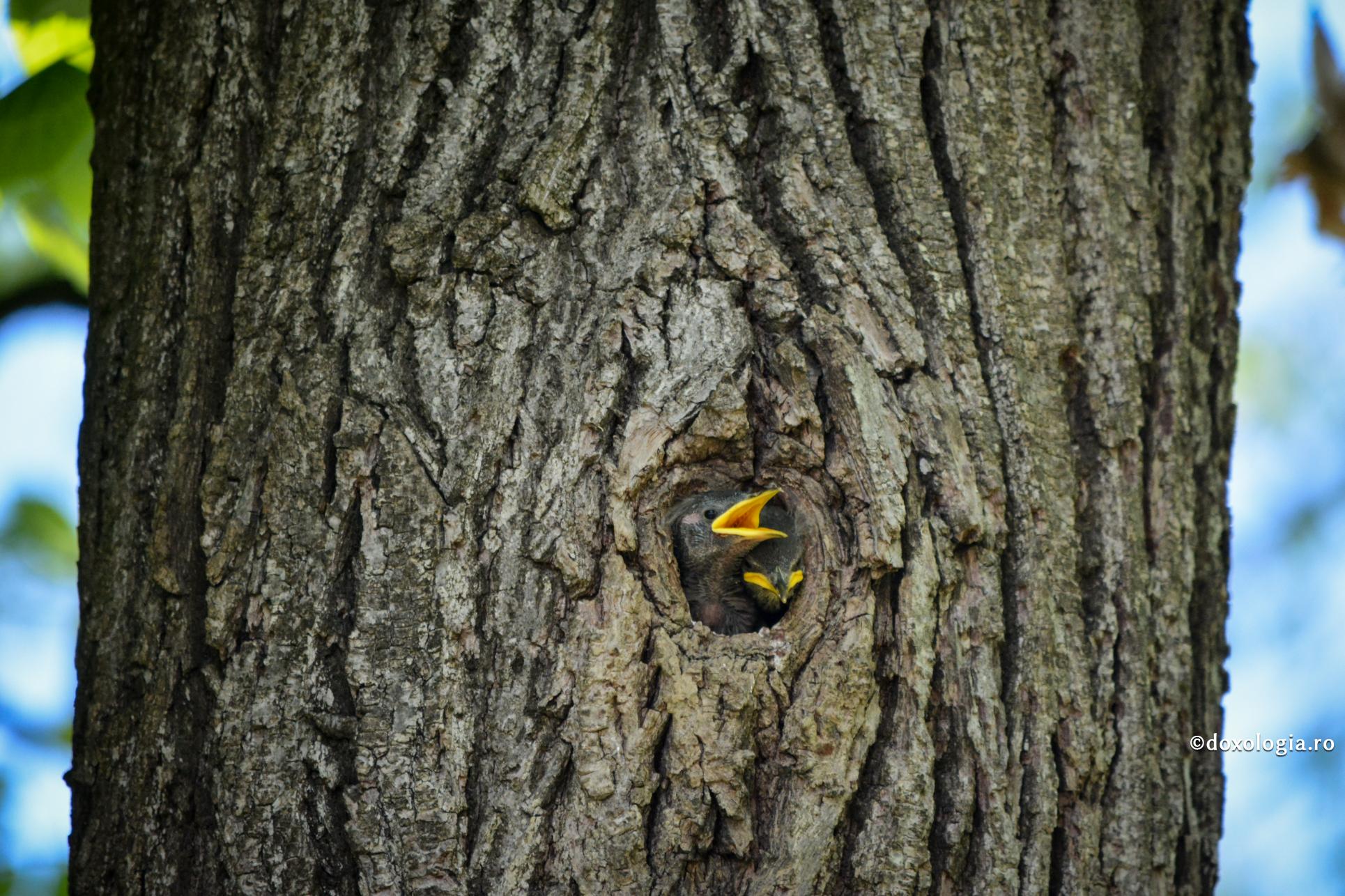 Lasă lumea aceasta și mântuiește-te!