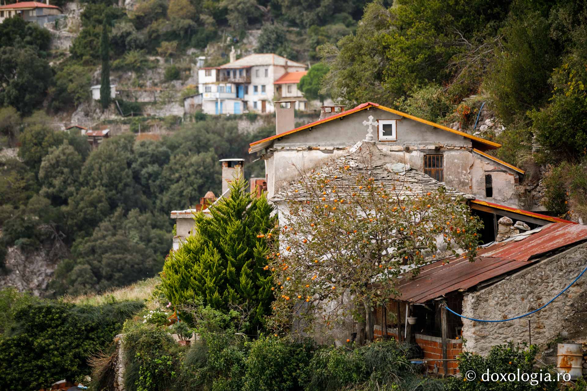 (Foto) Culorile toamnei în Sfântul Munte Athos