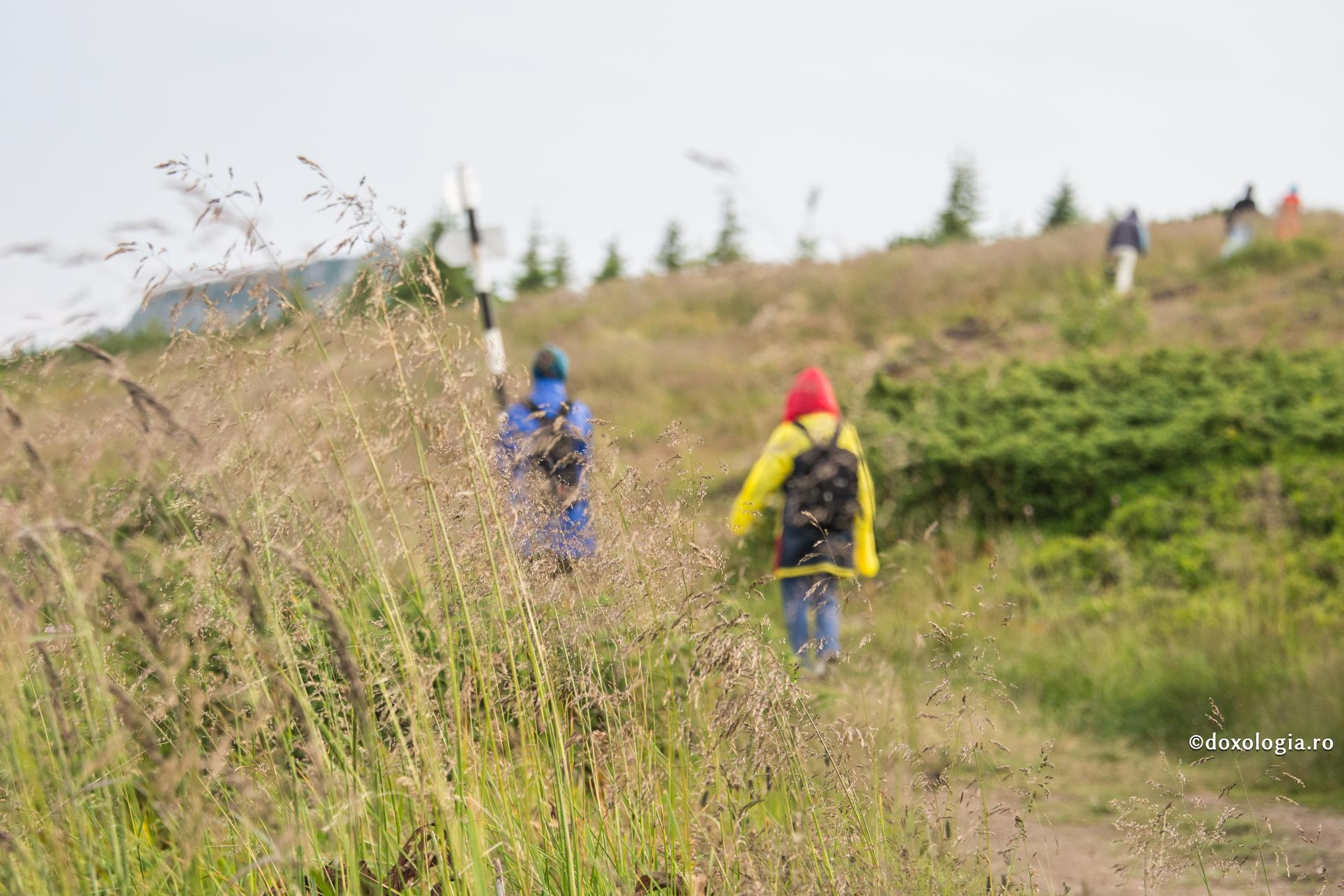Fără nevoință nu se face nimic