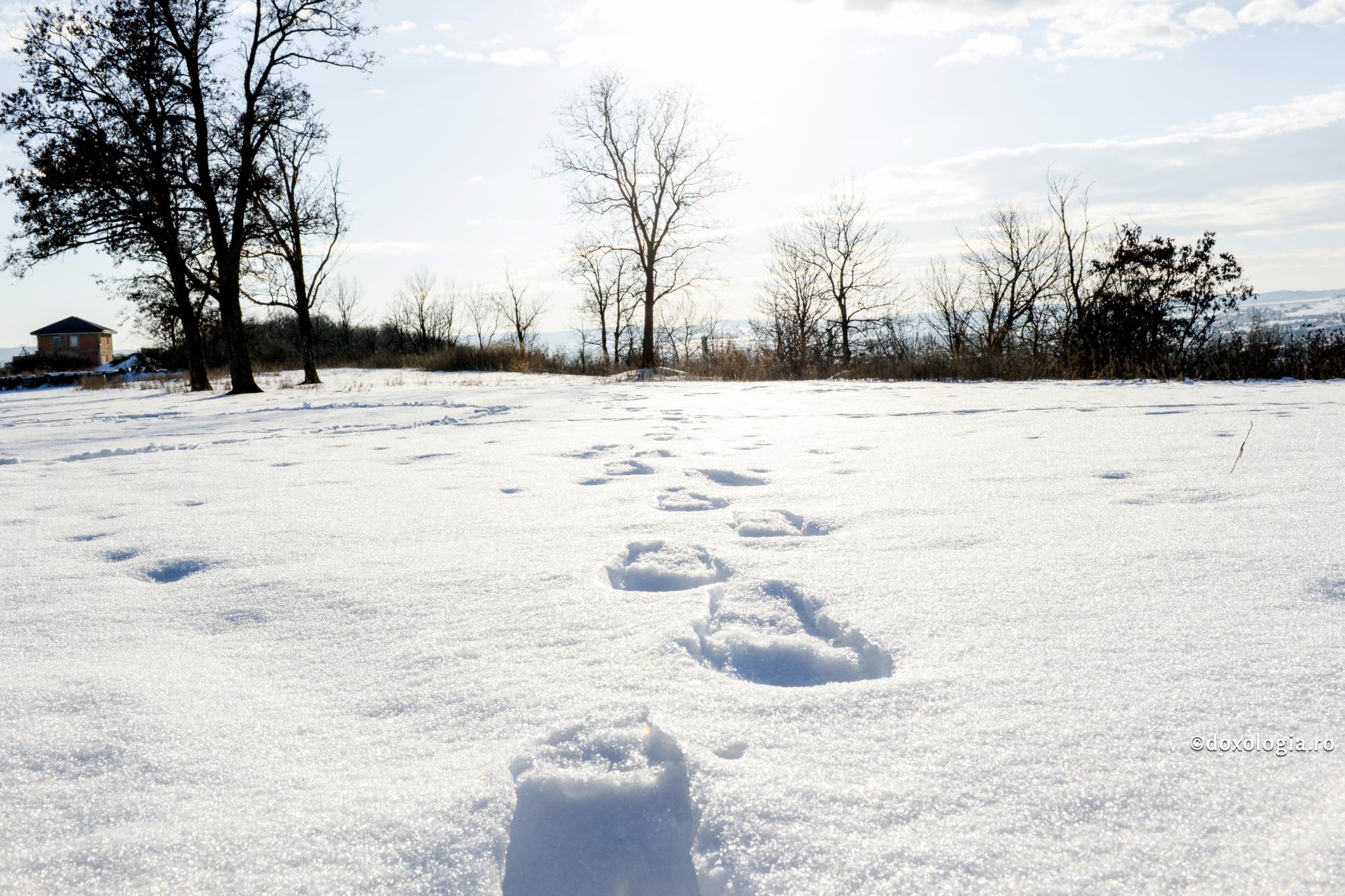 La Dumnezeu, nici un singur pas nu e trecut cu vederea