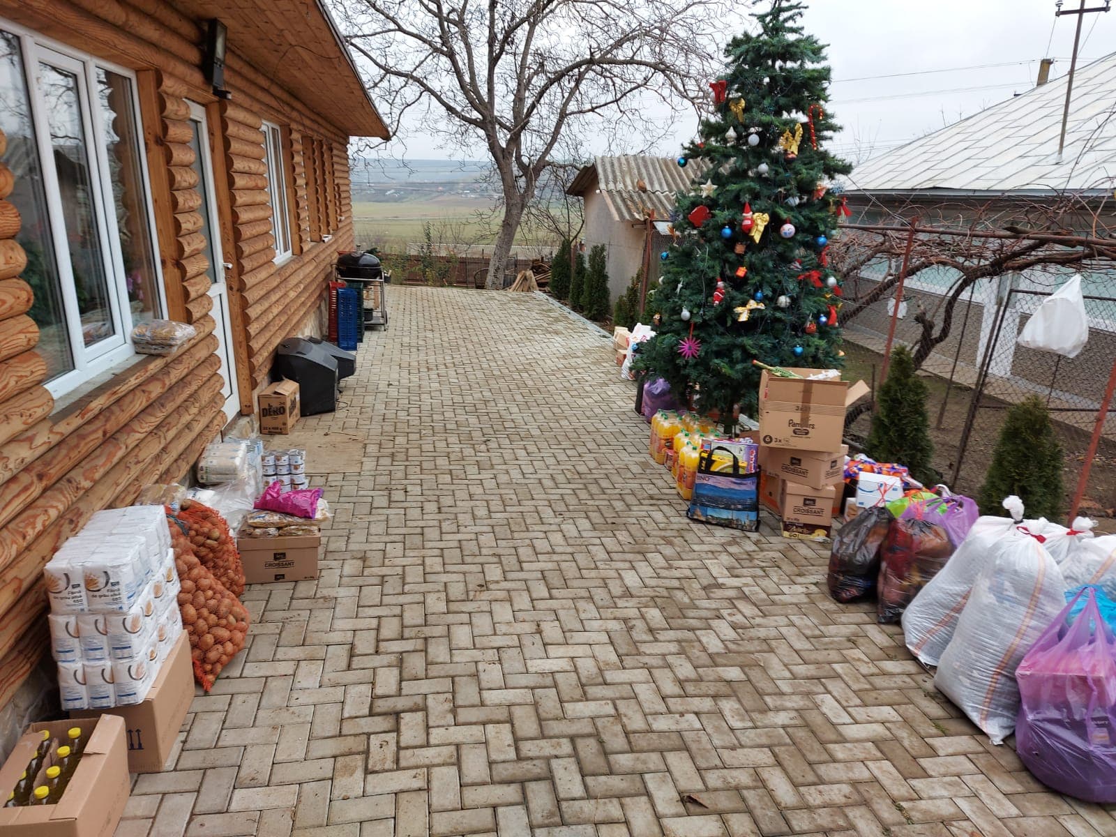 O expoziție națională online și fapte bune în offline – activități de suflet la Liceul de Informatică „Grigore Moisil” Iași