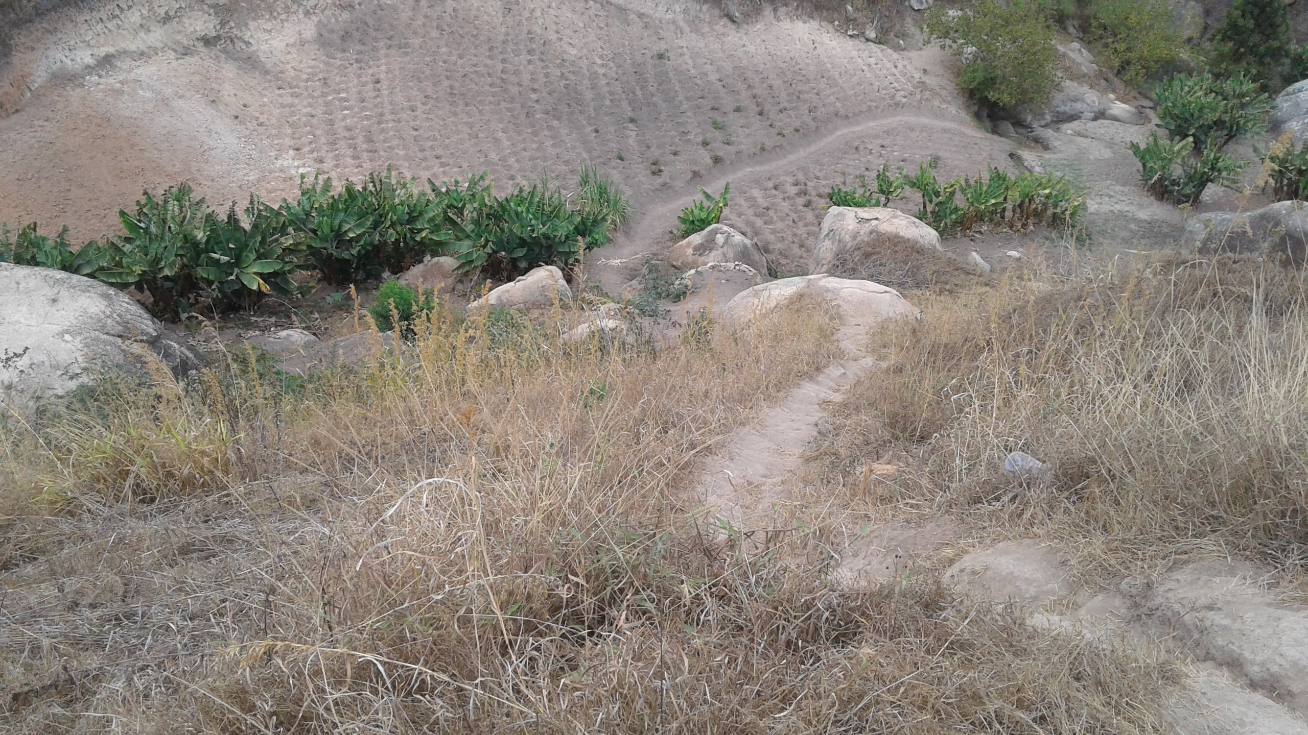 Cum este Biserica Ortodoxă din Tanzania? Cum este Biserica Ortodoxă din Tanzania?