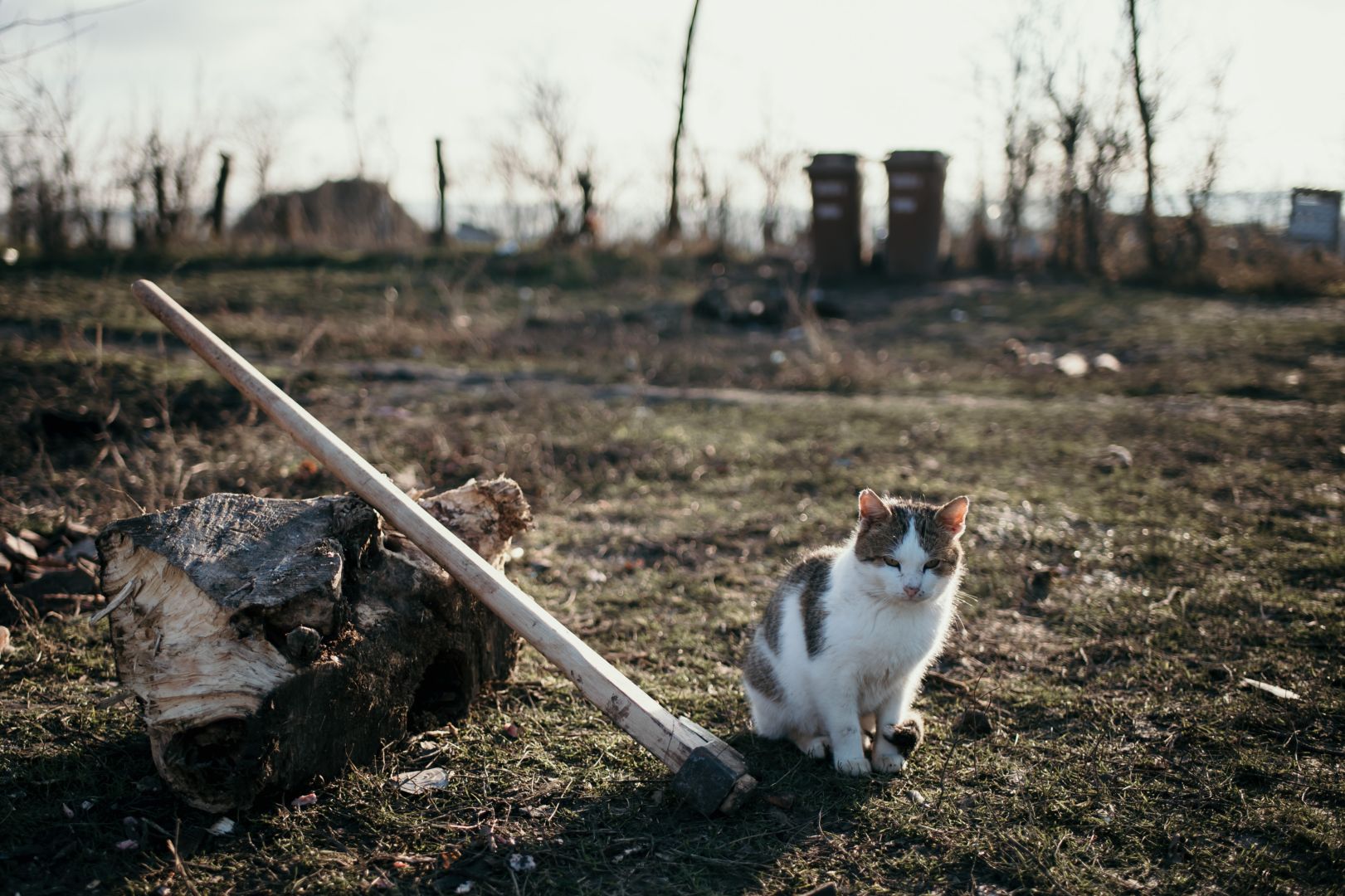 Bucurie pentru 20 de familii neajutorate din partea Sfântului Nicolae