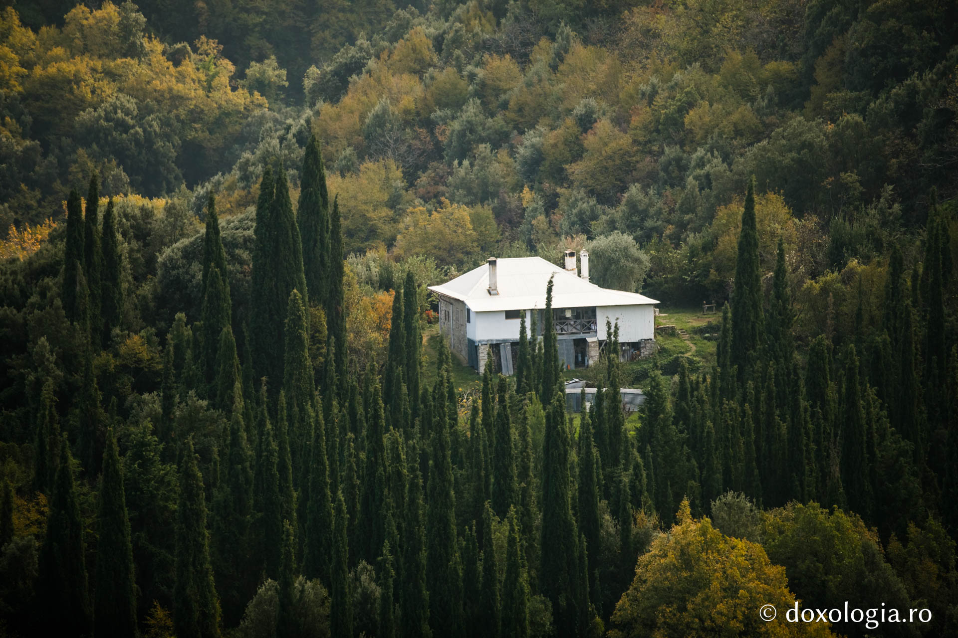 Vedere de ansamblu dinspre Schitul „Sfântul Pantelimon” al Mănăstirii Cutlumuș / Foto: Pr. Silviu Cluci Panaguda – chilia Sfântului Cuvios Paisie Aghioritul