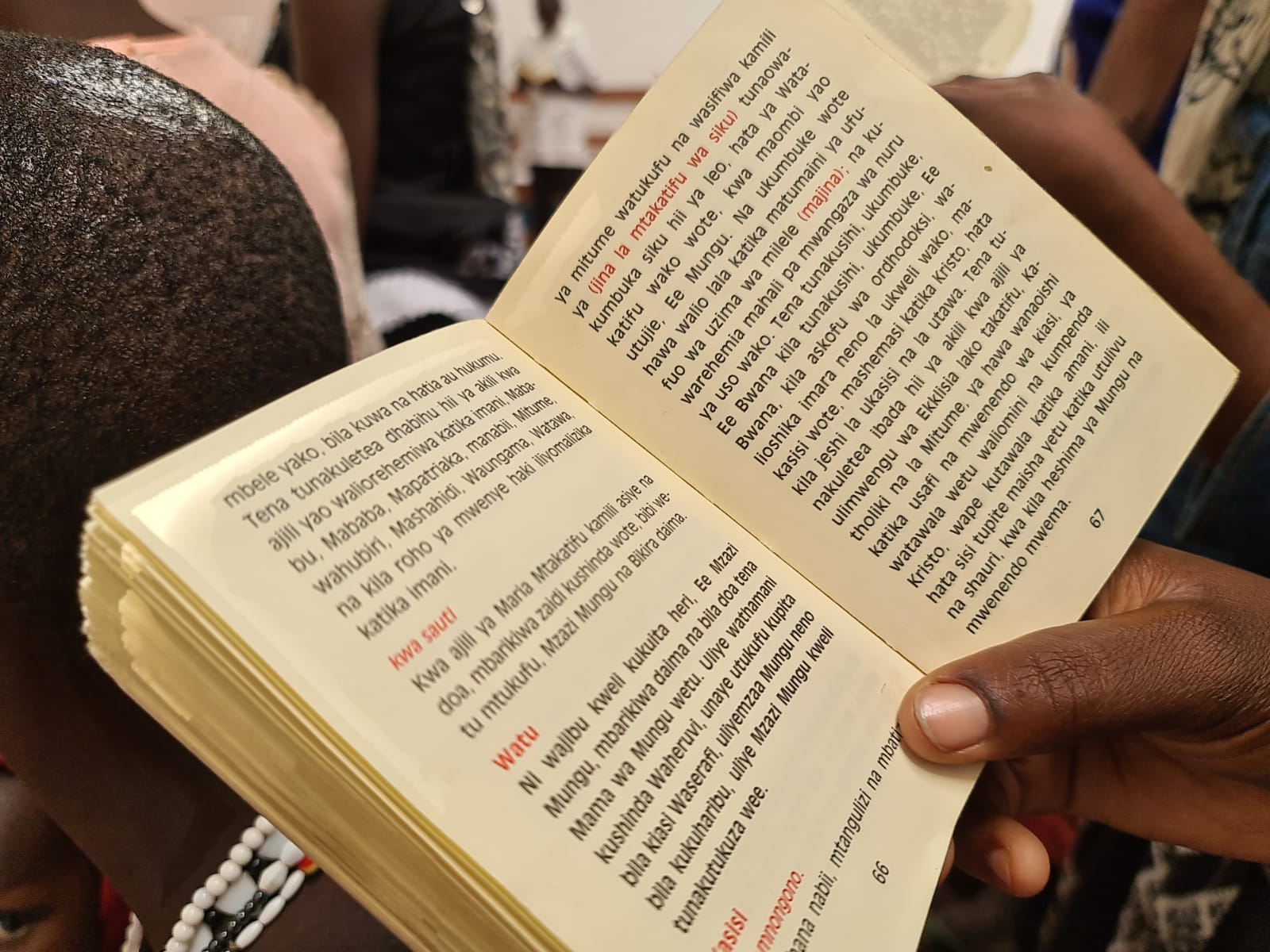 Povestiri din liniștea și din taina massailor