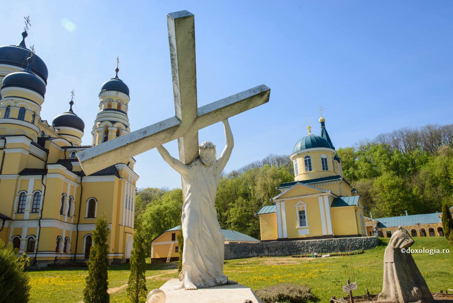 (Video) O pildă pentru cei care înmulțesc, dar și pentru cei care neagă darul lui Dumnezeu