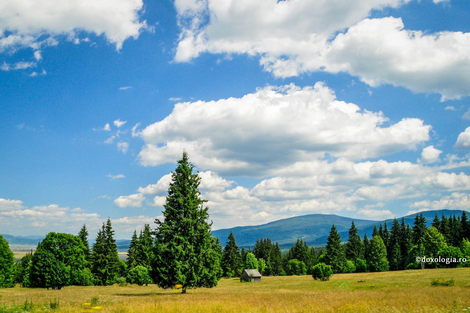 Smerirea noastră e esențială dacă vrem să păstrăm o dispoziție autentic creștină