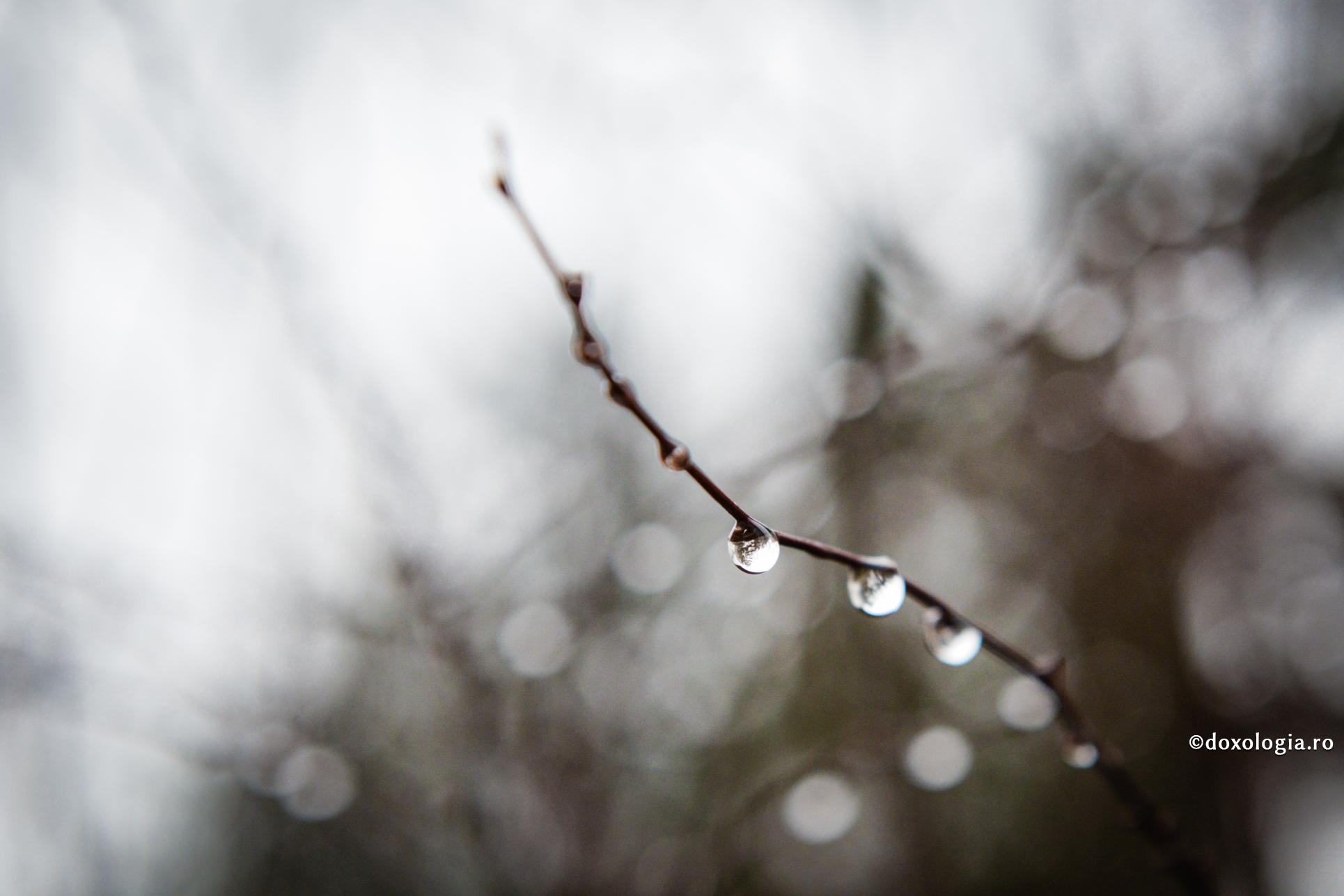 Despre păcatul blestemului în casă și urmările lui asupra familiei