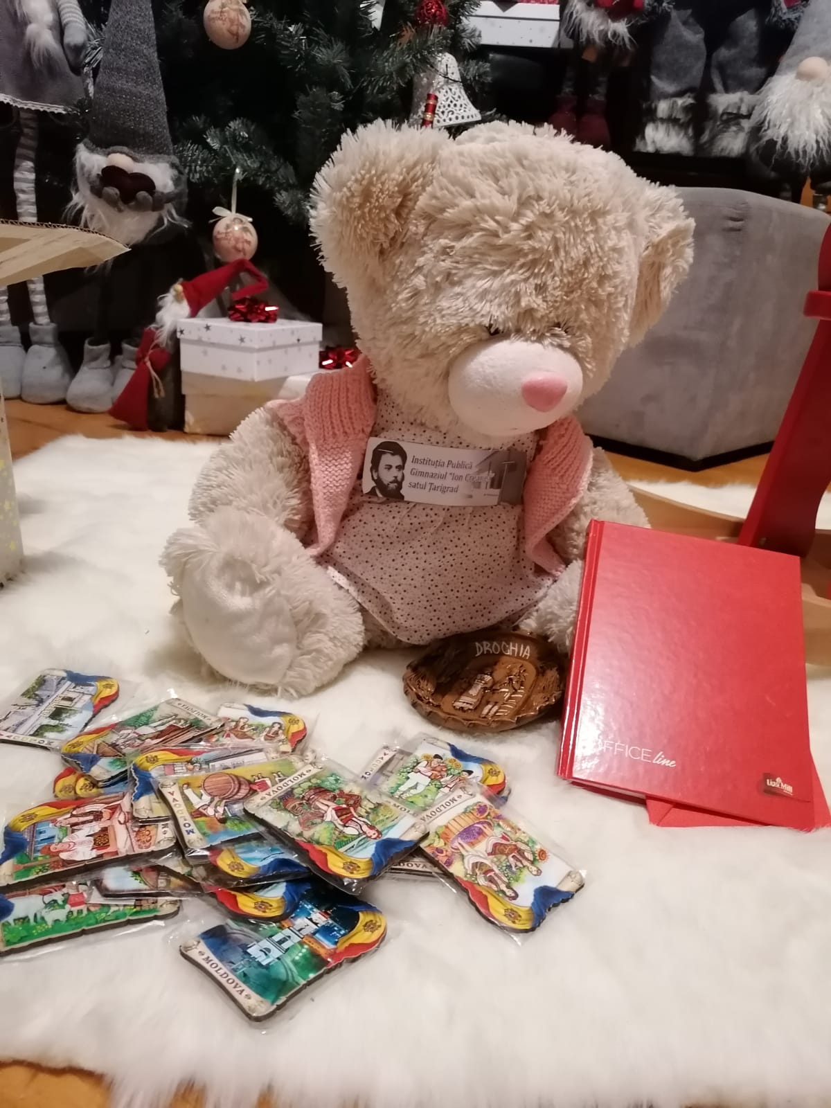 Proiect educațional la Liceul „Grigore Moisil” din Iași: Schimb de ursuleți de pluș între România și Republica Moldova