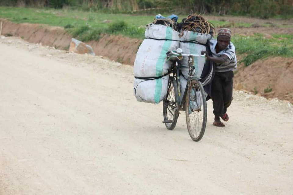 Regina &quot;baisichelelor&quot;