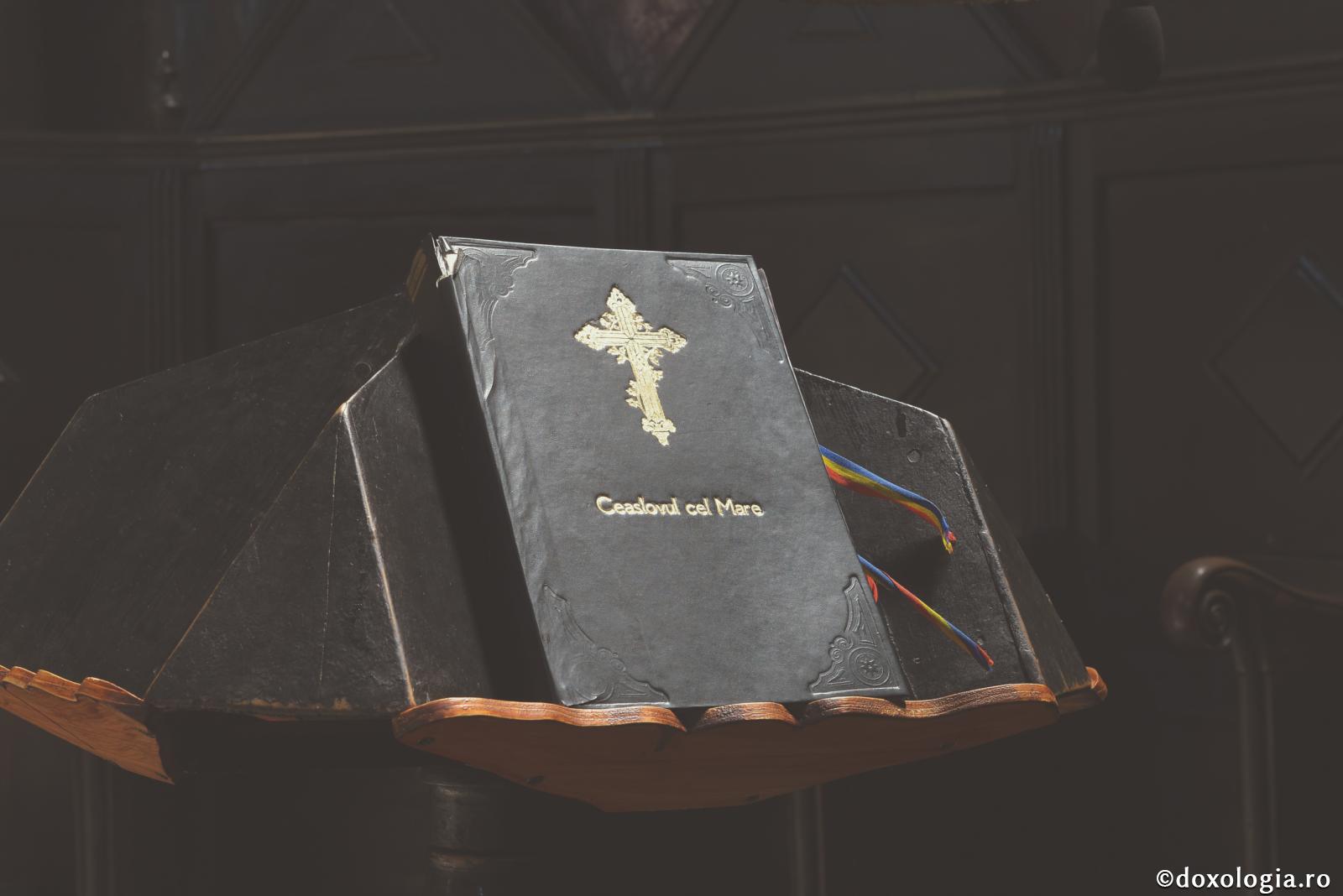 (Audio) „Să ne păstrăm în acest post bucuria, să o cultivăm și s-o împărtășim și altora!” – Arhim. Nichifor Horia