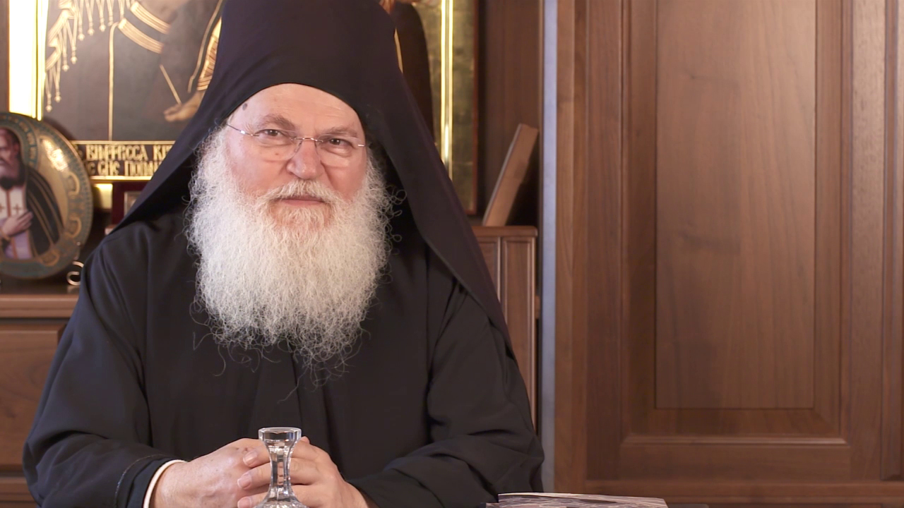 (Video) Arhim. Efrem Vatopedinul, în dialog cu psihologii, psihiatrii și neurologii români (5 februarie 2021)