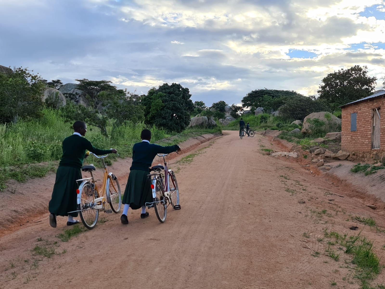 Ilala Simba sau.... unde doarme leul