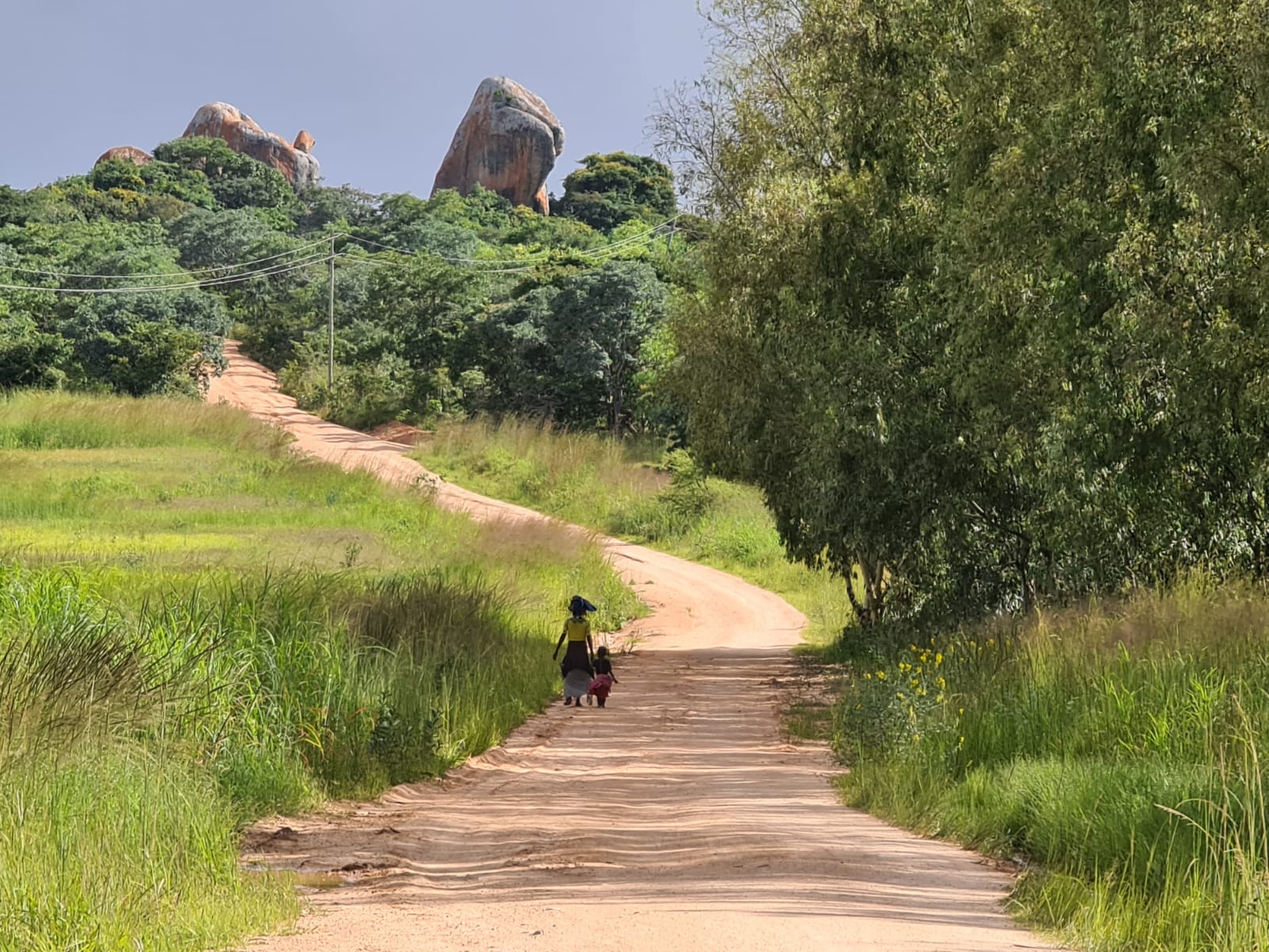 Ilala Simba sau.... unde doarme leul