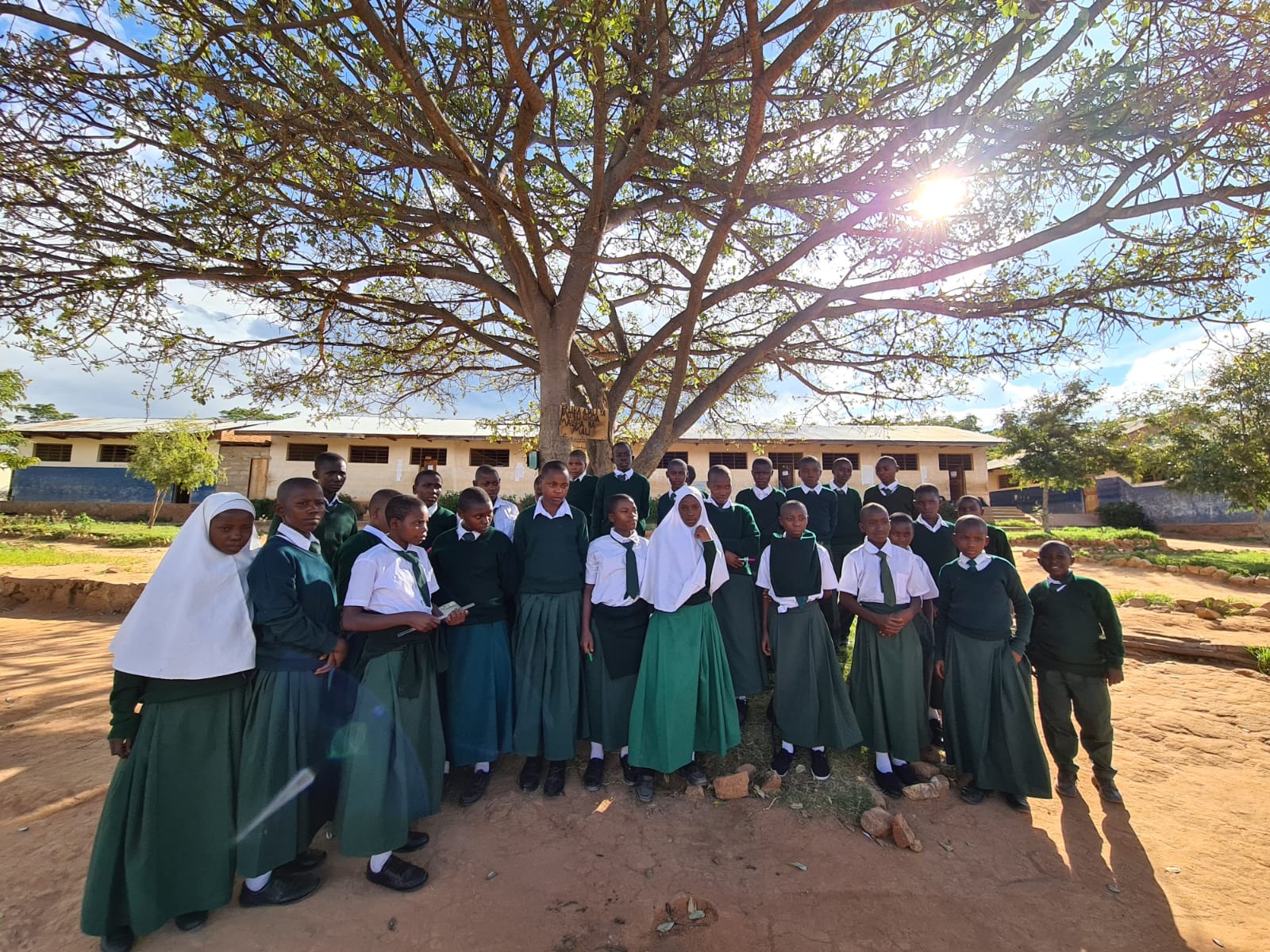 Ilala Simba sau.... unde doarme leul