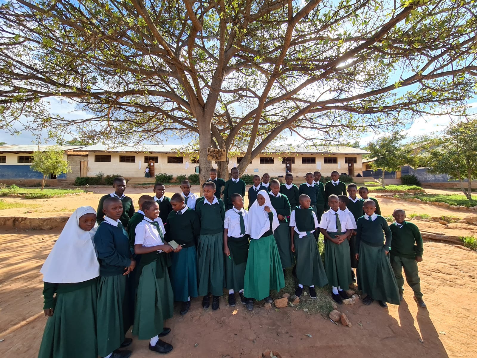 Ilala Simba sau.... unde doarme leul