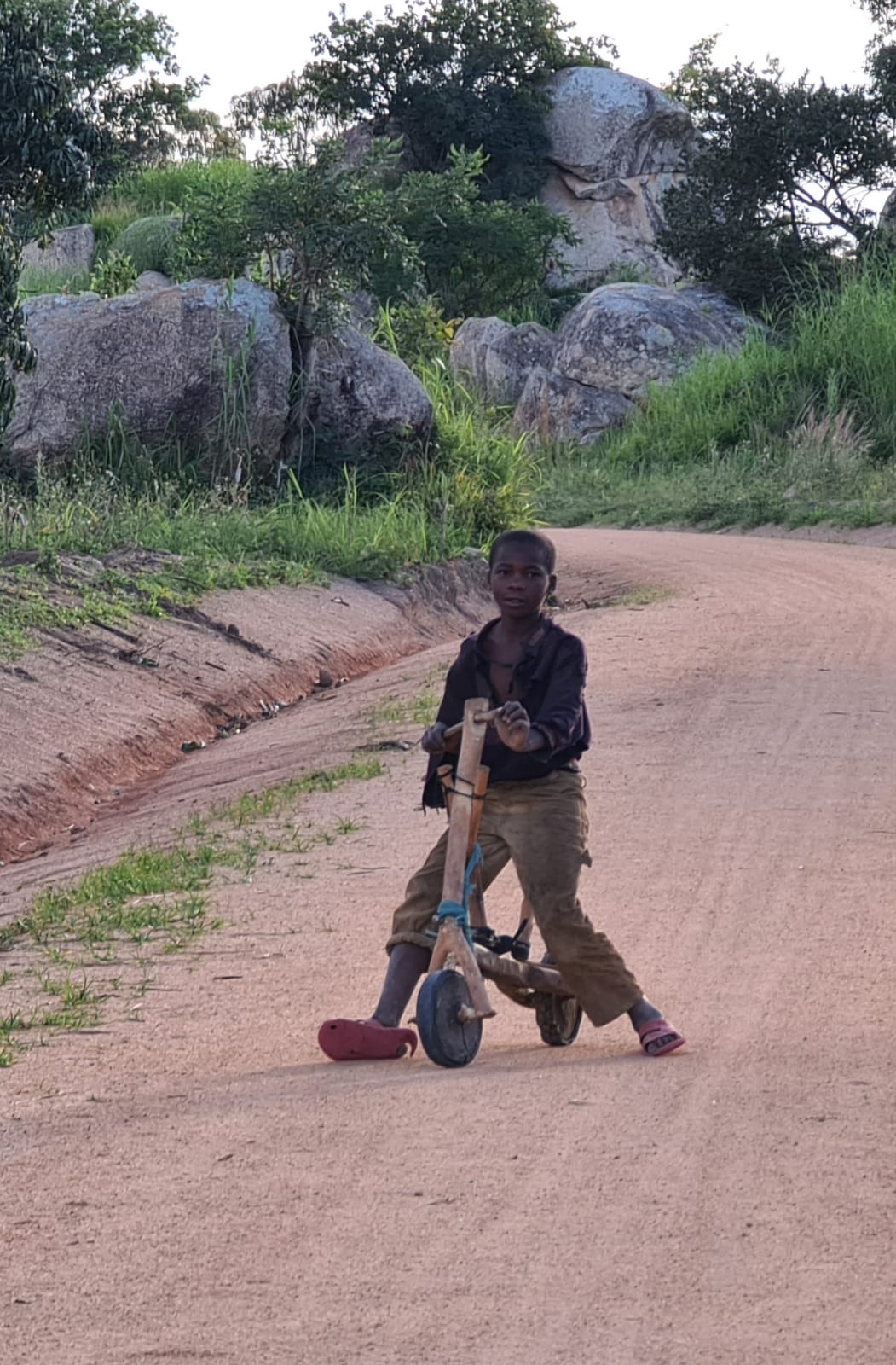 Ilala Simba sau.... unde doarme leul