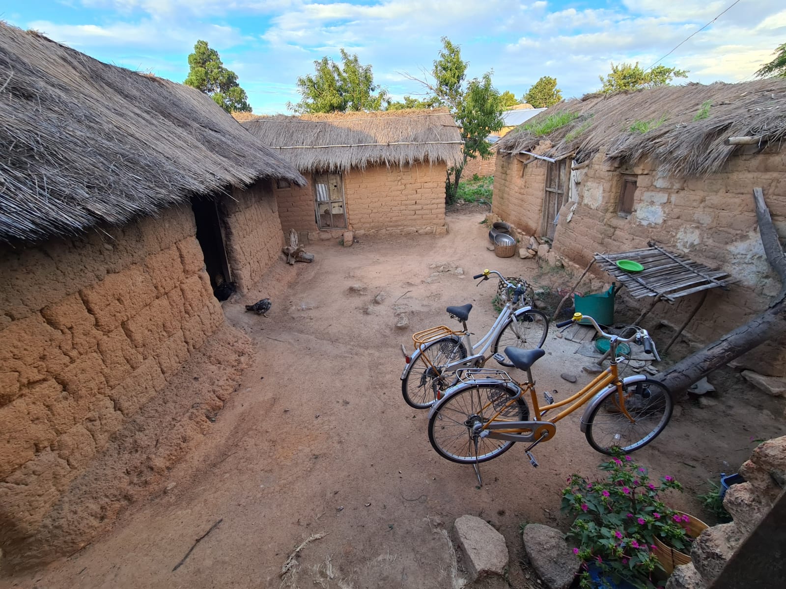 Ilala Simba sau.... unde doarme leul