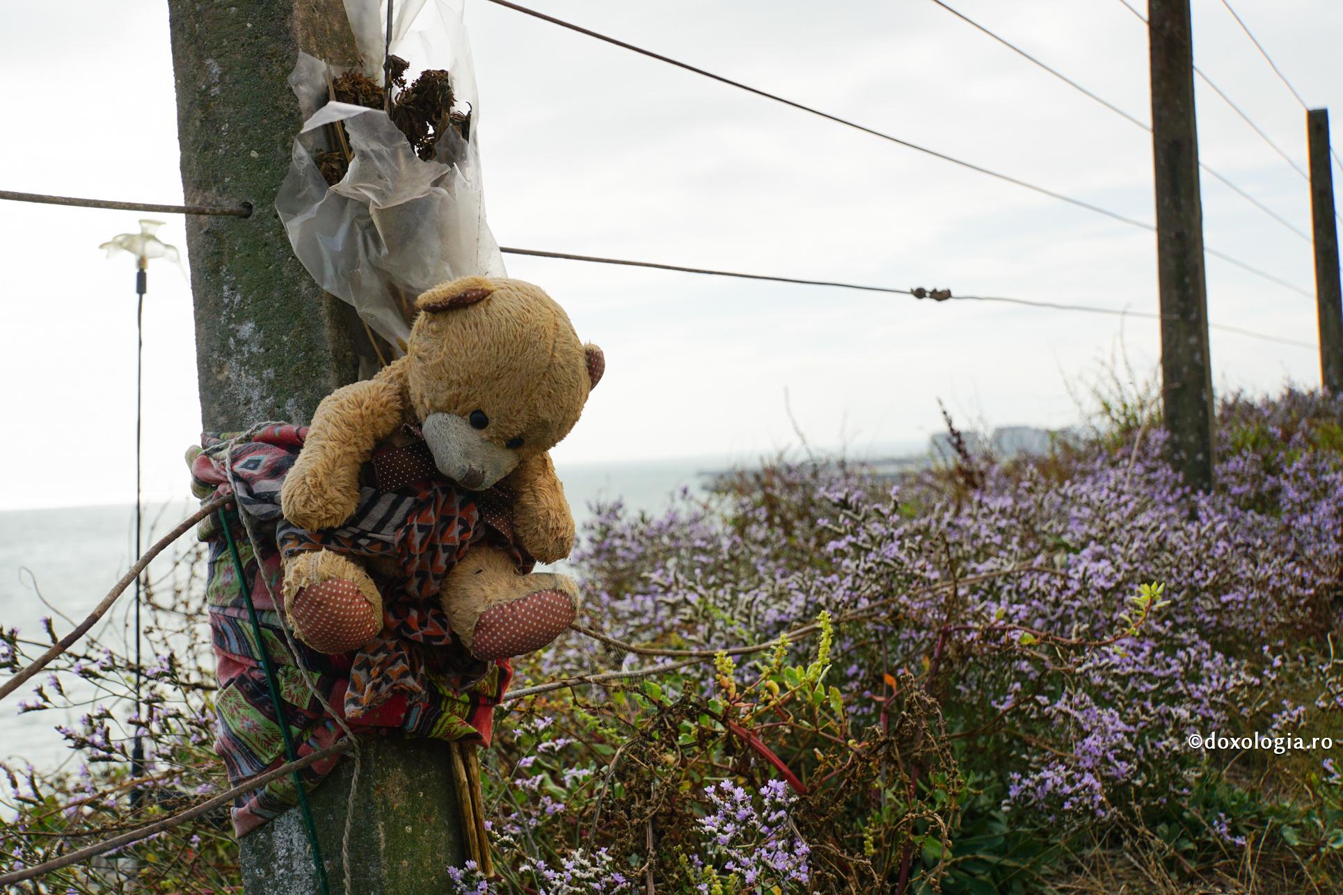 Copii cu inima peste hotare