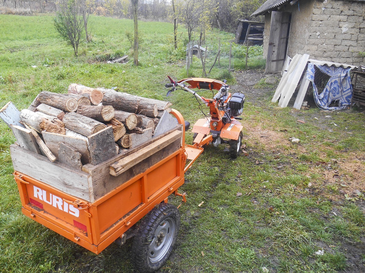 Proiectul misionar-filantropic „Iubește să iubești”, în parohiile Chișcăreni și Sat Nou