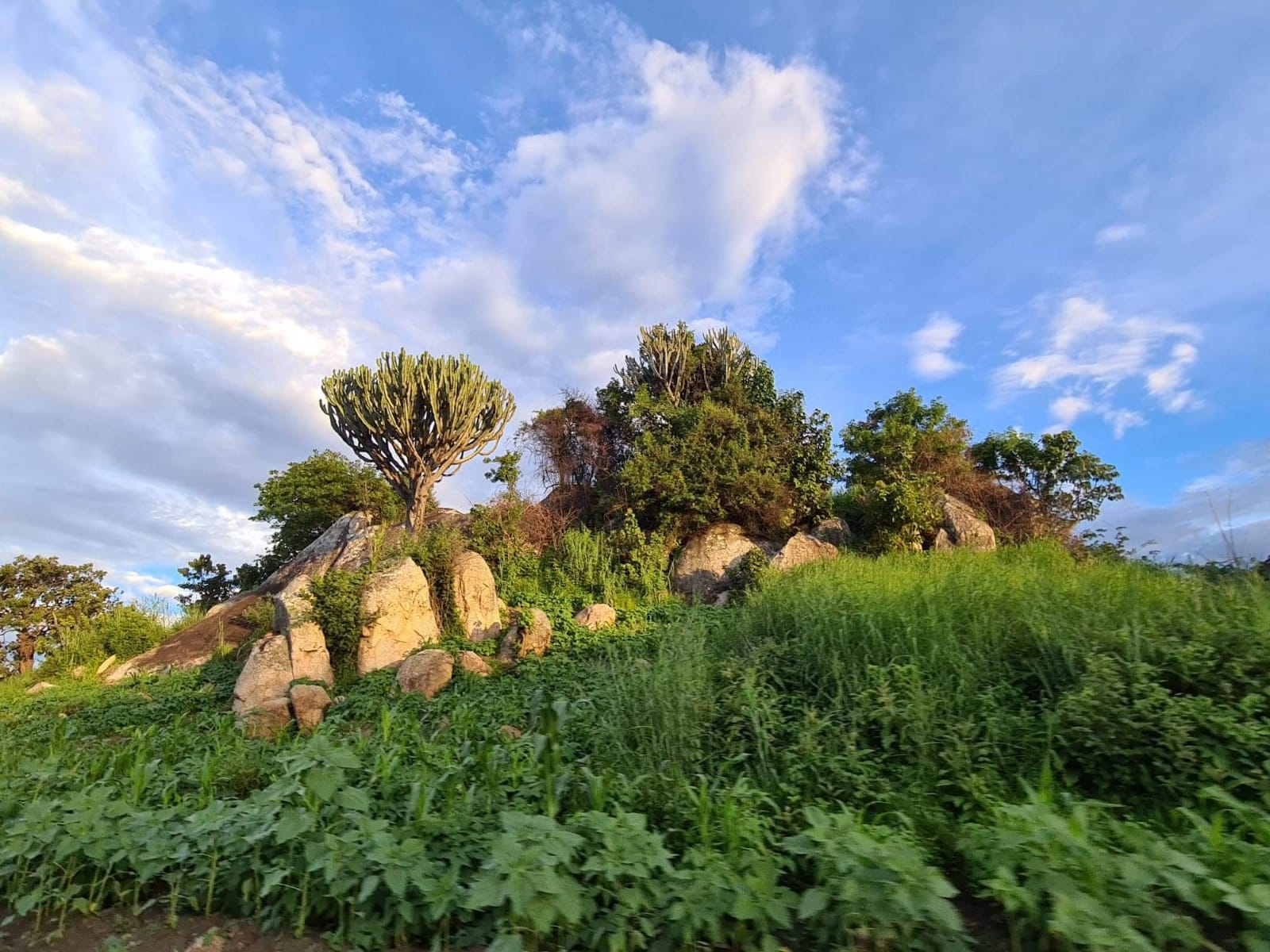 Un caiet, comoara cea mai de preț