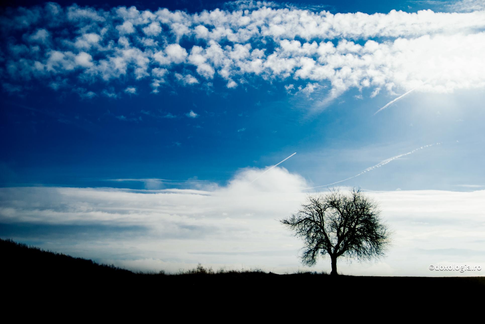 Rezumatul vieții omului – un drum ce duce la Veșnicie