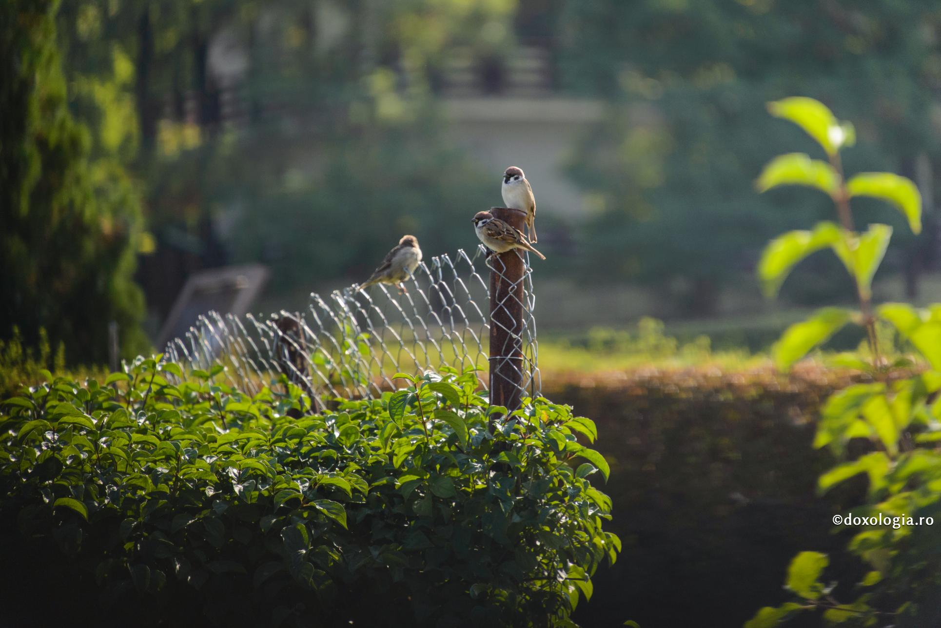 Foto: Ștefan Cojocariu Dincolo de vorbe