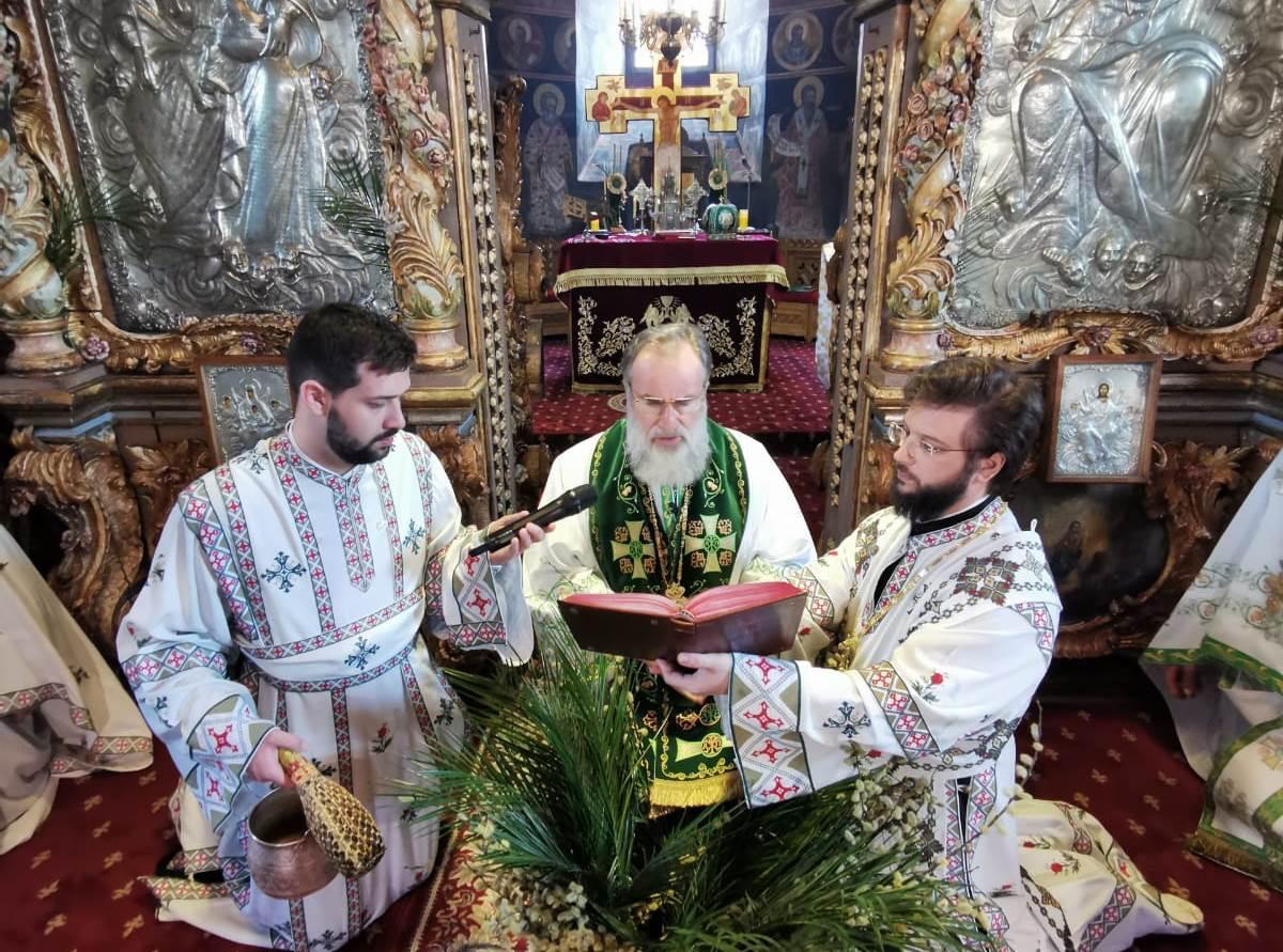 Omul caută frunze de smochin pentru a-şi acoperi păcatele!