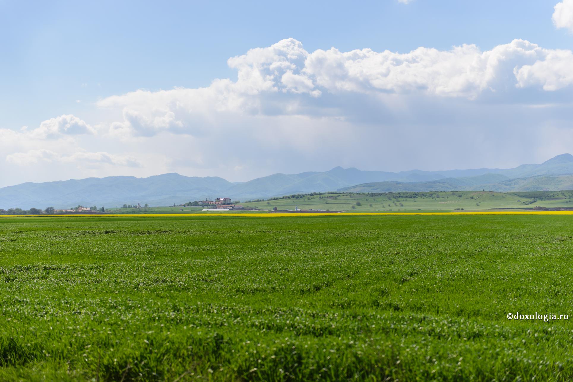 Foto: Oana Nechifor Basmul „Tinerețe fără de bătrânețe și viață fără de moarte” explicat într-o viziune ortodoxă
