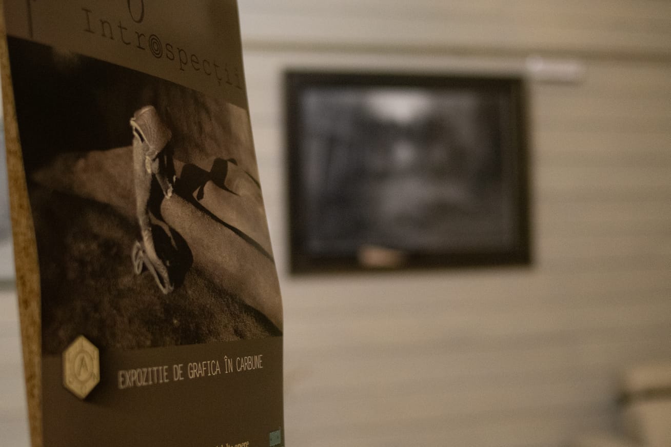 Colegiul „Sfântul Nicolae” din Iași: O nouă ediție marca #ArtExpose, intitulată „Introspecții”