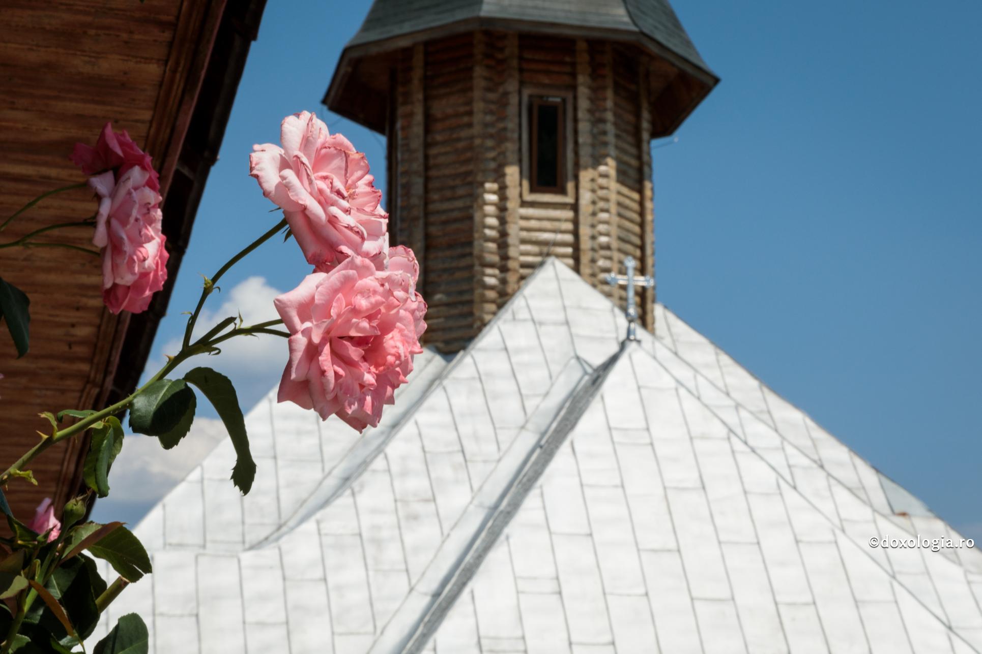 Ajutați-mă să vă pot ajuta!