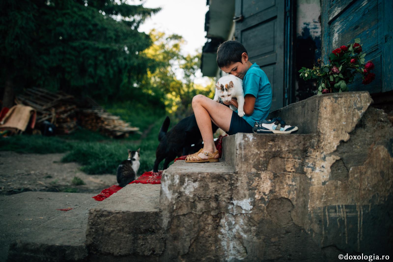 (Video) Suferințele copiilor pentru păcatele părinților – Părintele Ciprian Negreanu