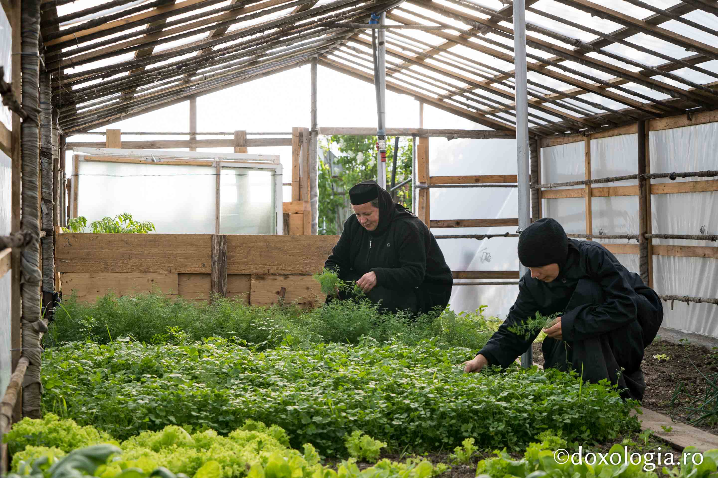 (Foto) Povești și activități de primăvară în grădina Mănăstirii Văratec