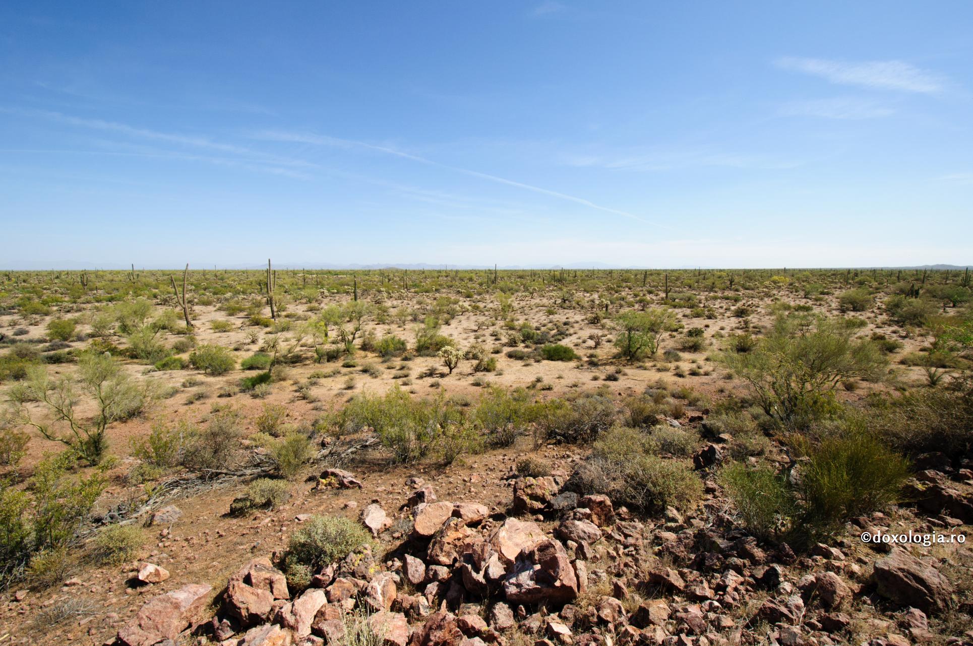 (Video) Pilda talanților – ce înseamnă a îngropa talantul în pământ?