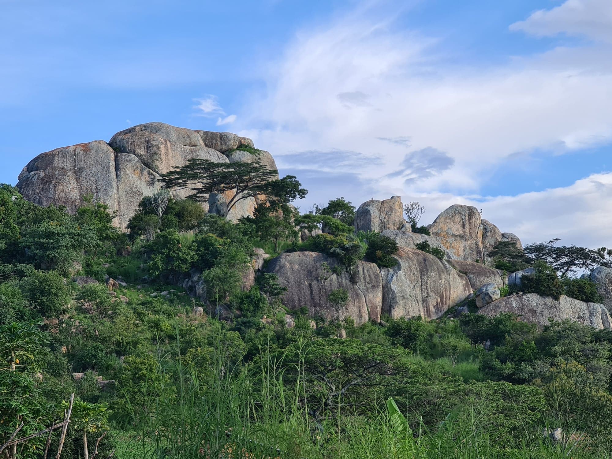 Sfântul Ioan Teologul, hramul parohiei de la Ibogu