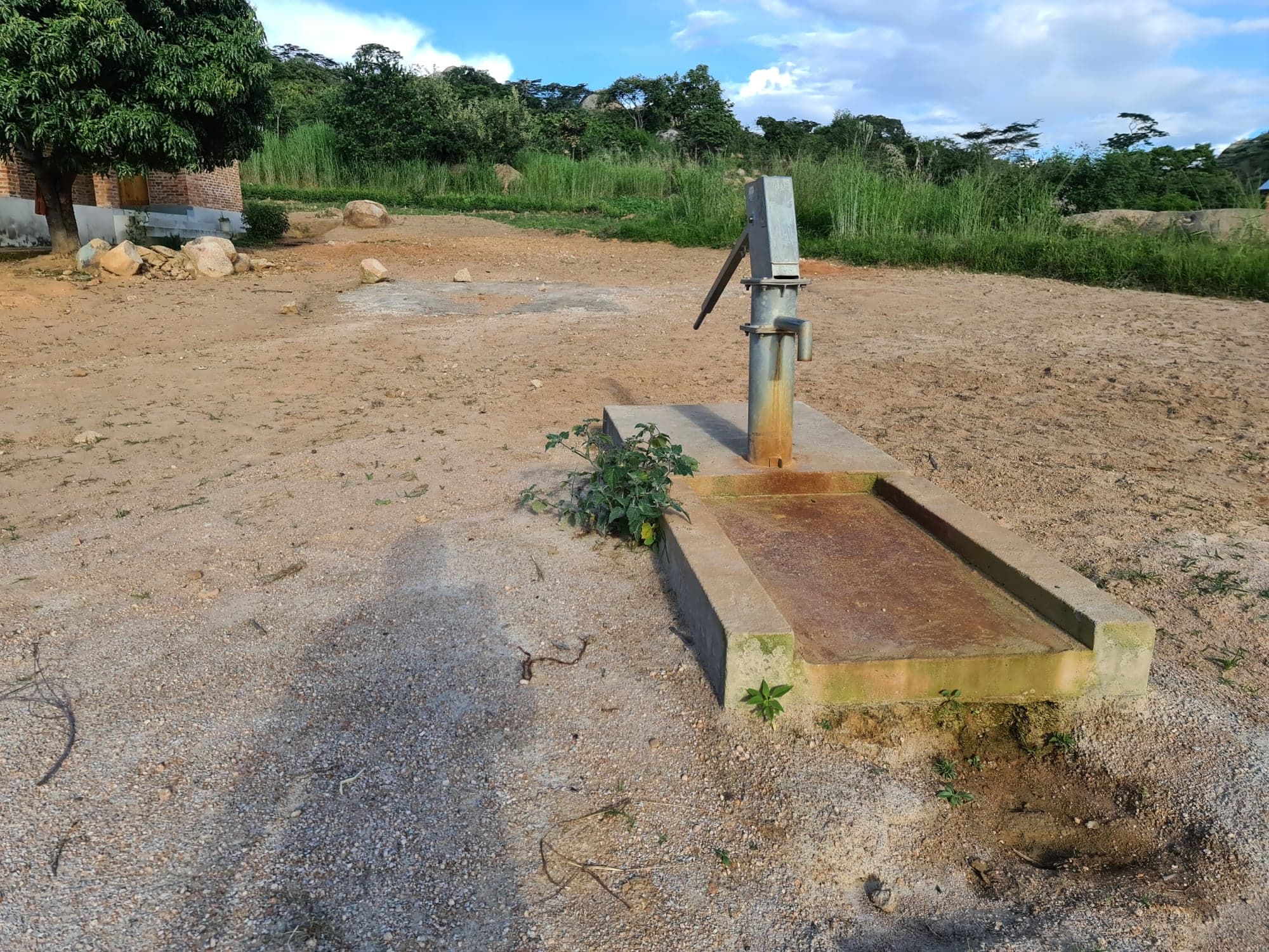 Sfântul Ioan Teologul, hramul parohiei de la Ibogu