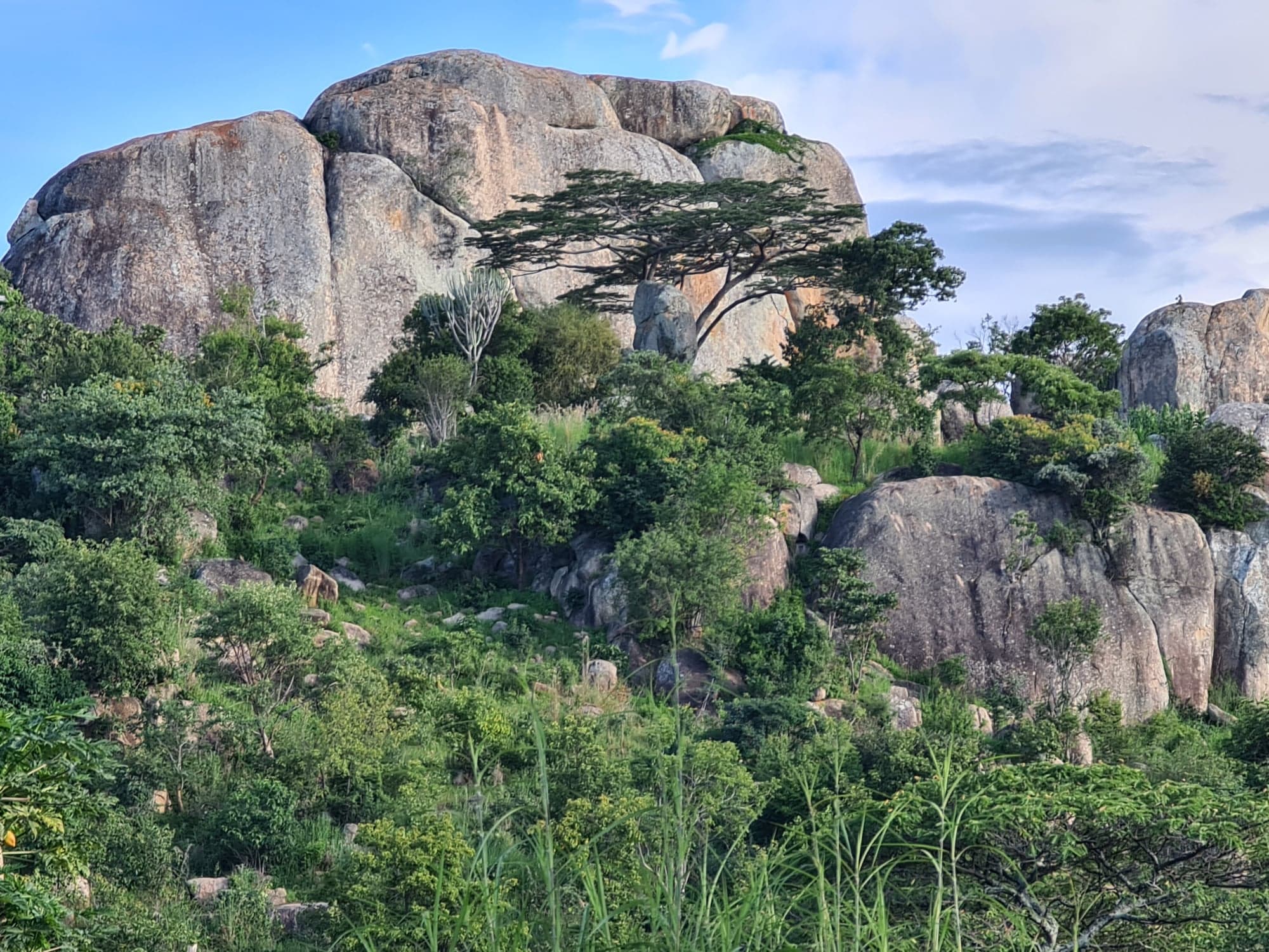 Sfântul Ioan Teologul, hramul parohiei de la Ibogu