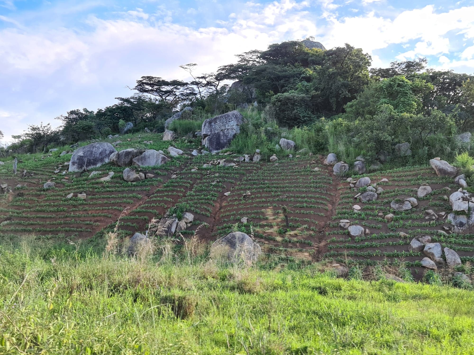 Sfântul Ioan Teologul, hramul parohiei de la Ibogu