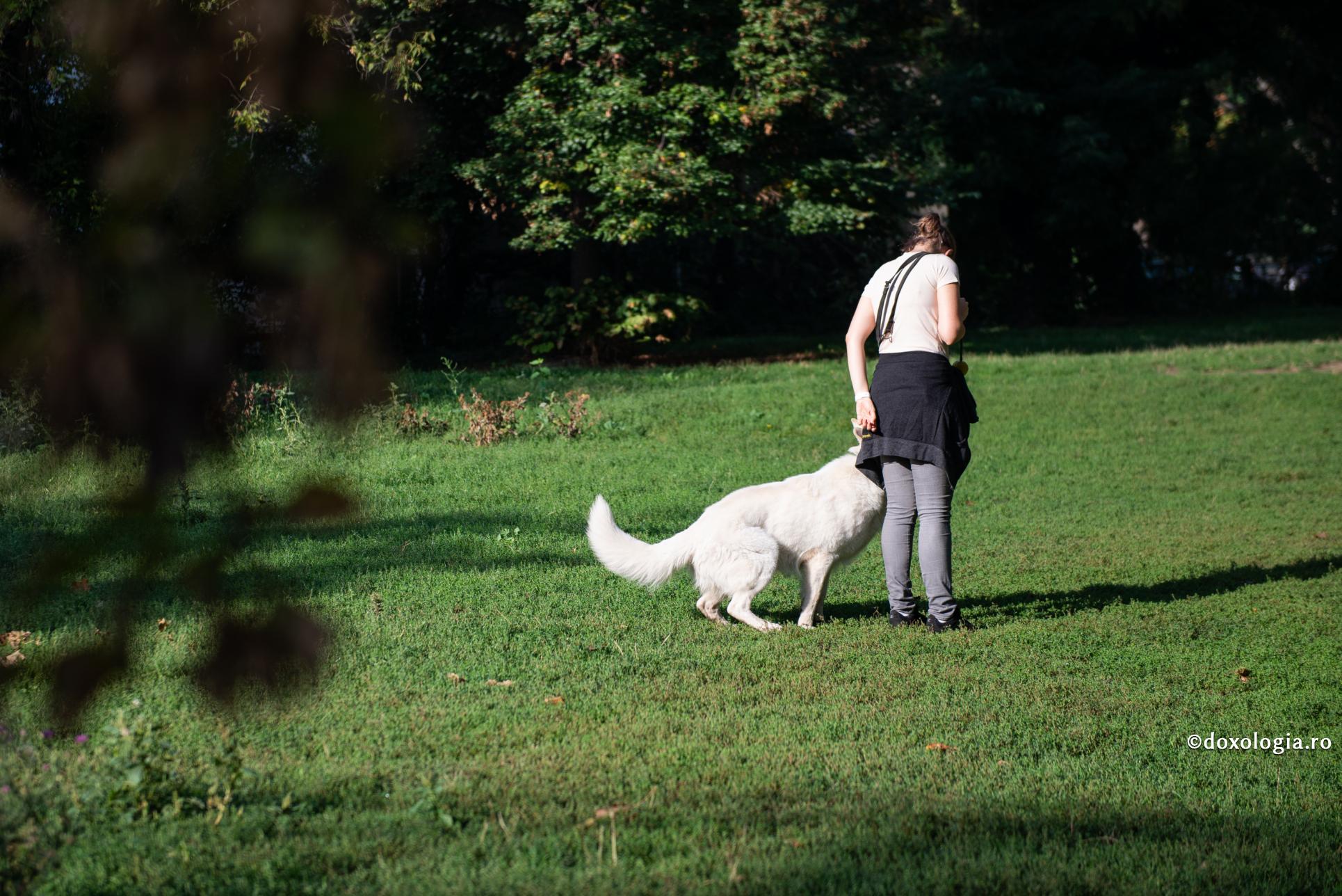 Dacă omul se smerește în fața lui Dumnezeu, întreaga creație se smerește dinaintea sa