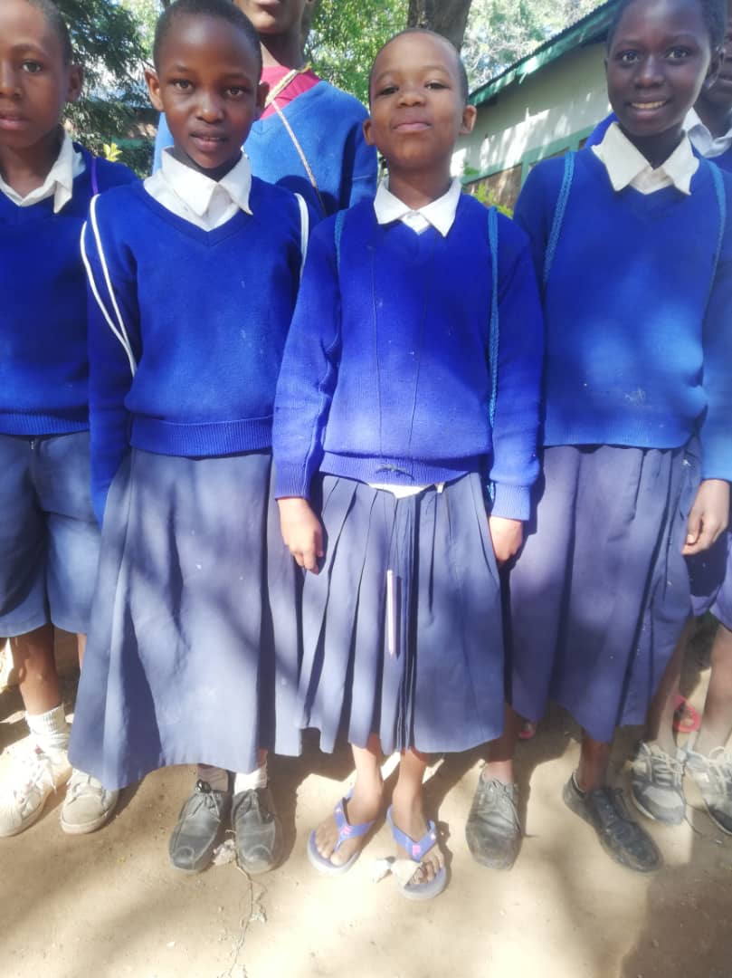 Daruri multe și 12 noi burse pentru elevii de școală primară