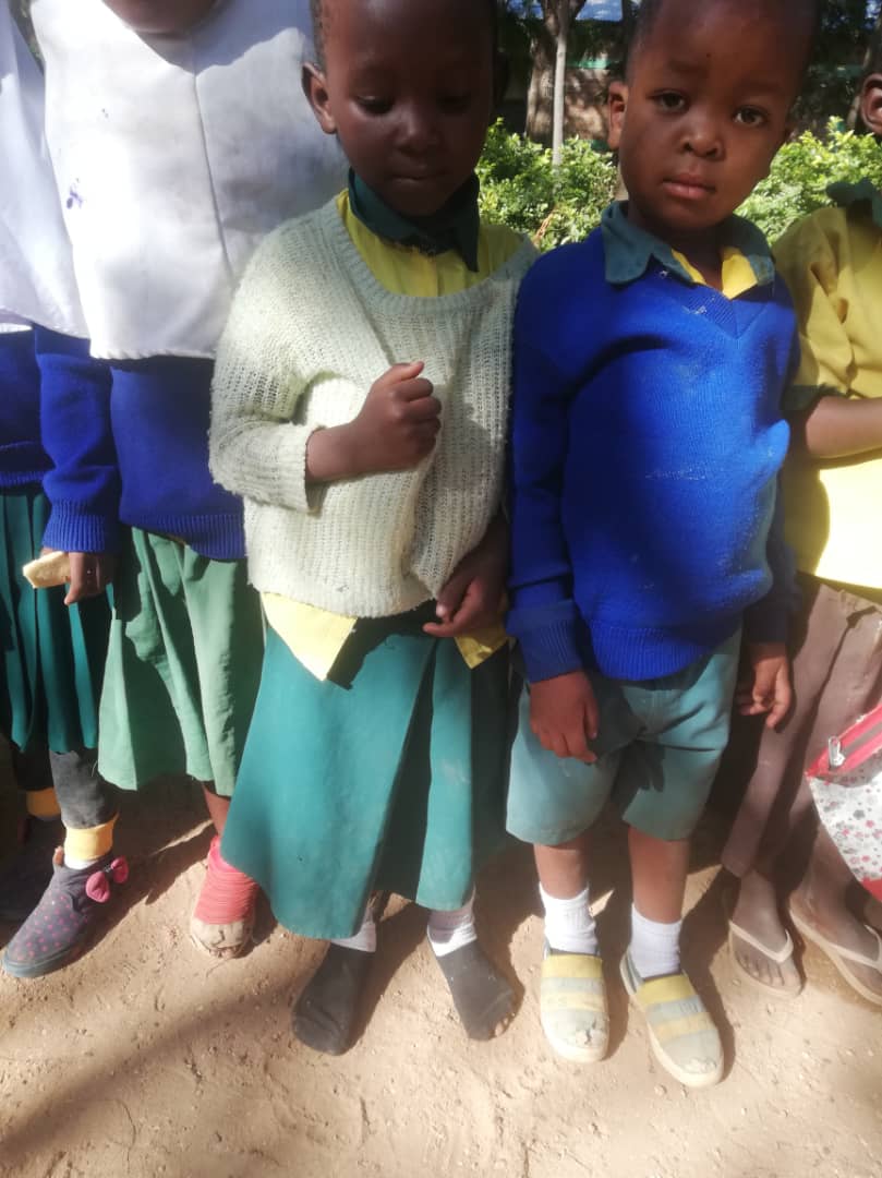 Daruri multe și 12 noi burse pentru elevii de școală primară