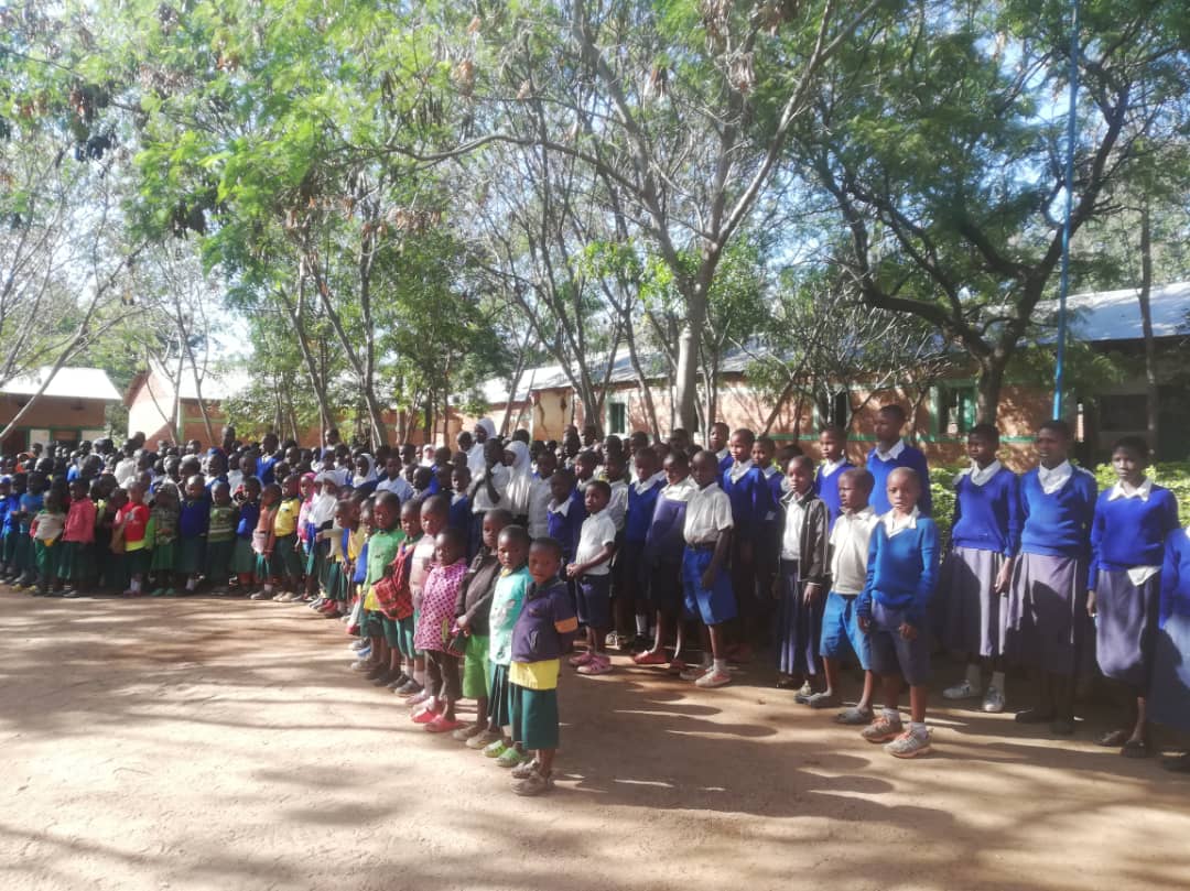 Daruri multe și 12 noi burse pentru elevii de școală primară