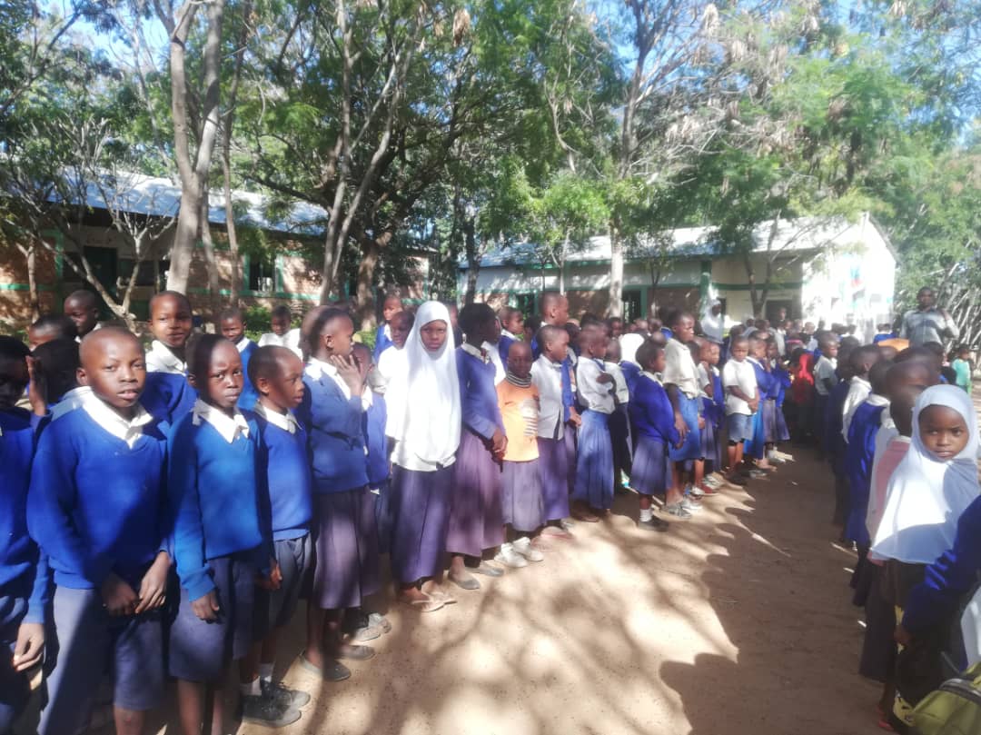 Daruri multe și 12 noi burse pentru elevii de școală primară