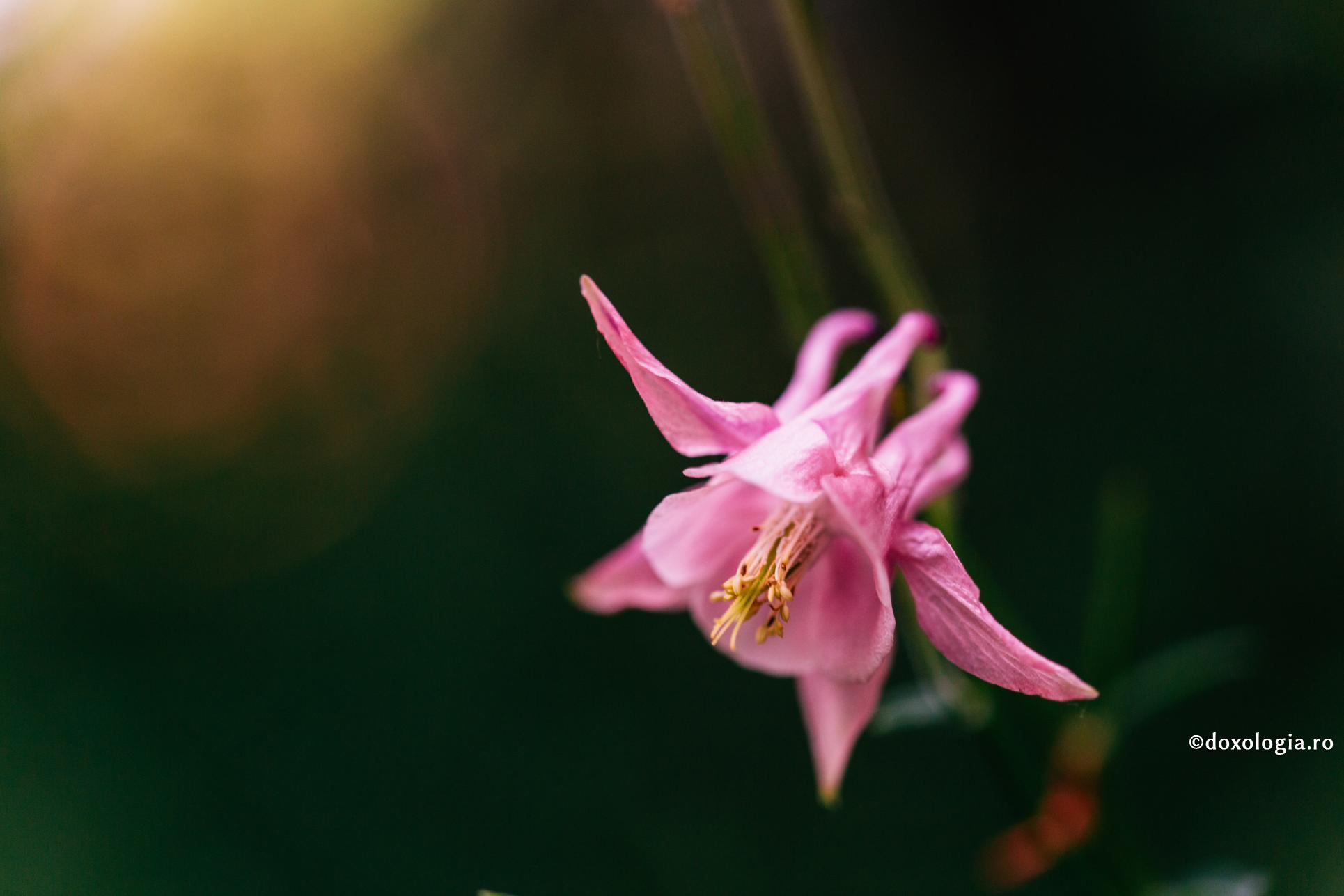 Atitudinea noastră față de oamenii care ne fac rău