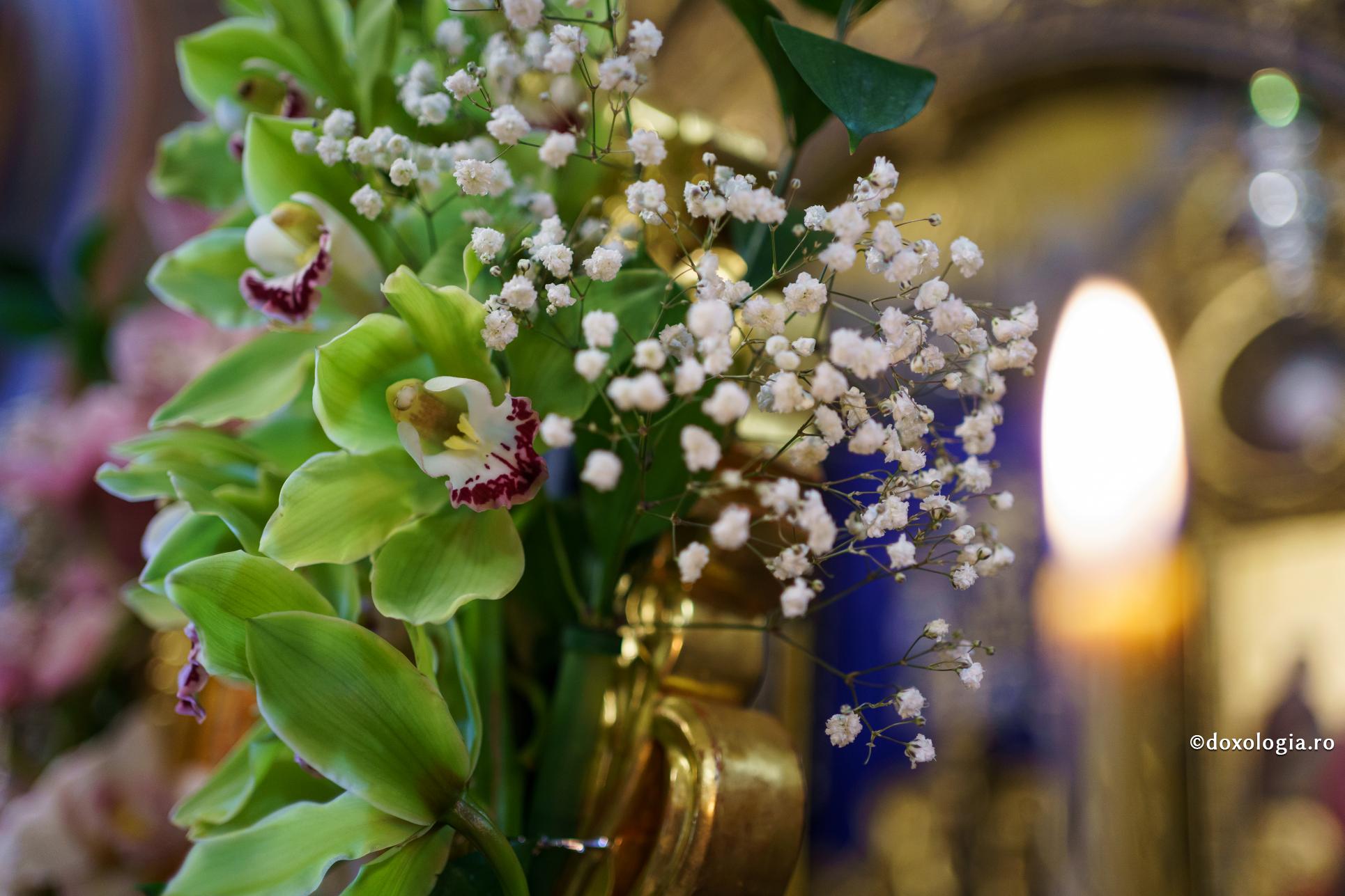 Binecuvântare şi încurajare pentru examene din partea Preafericitului Părinte Patriarh Daniel