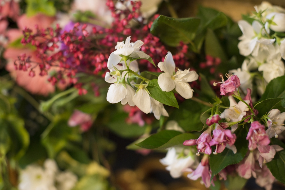 Slujire arhierească la hramul Mănăstirii Golia, după mai bine de 20 de ani